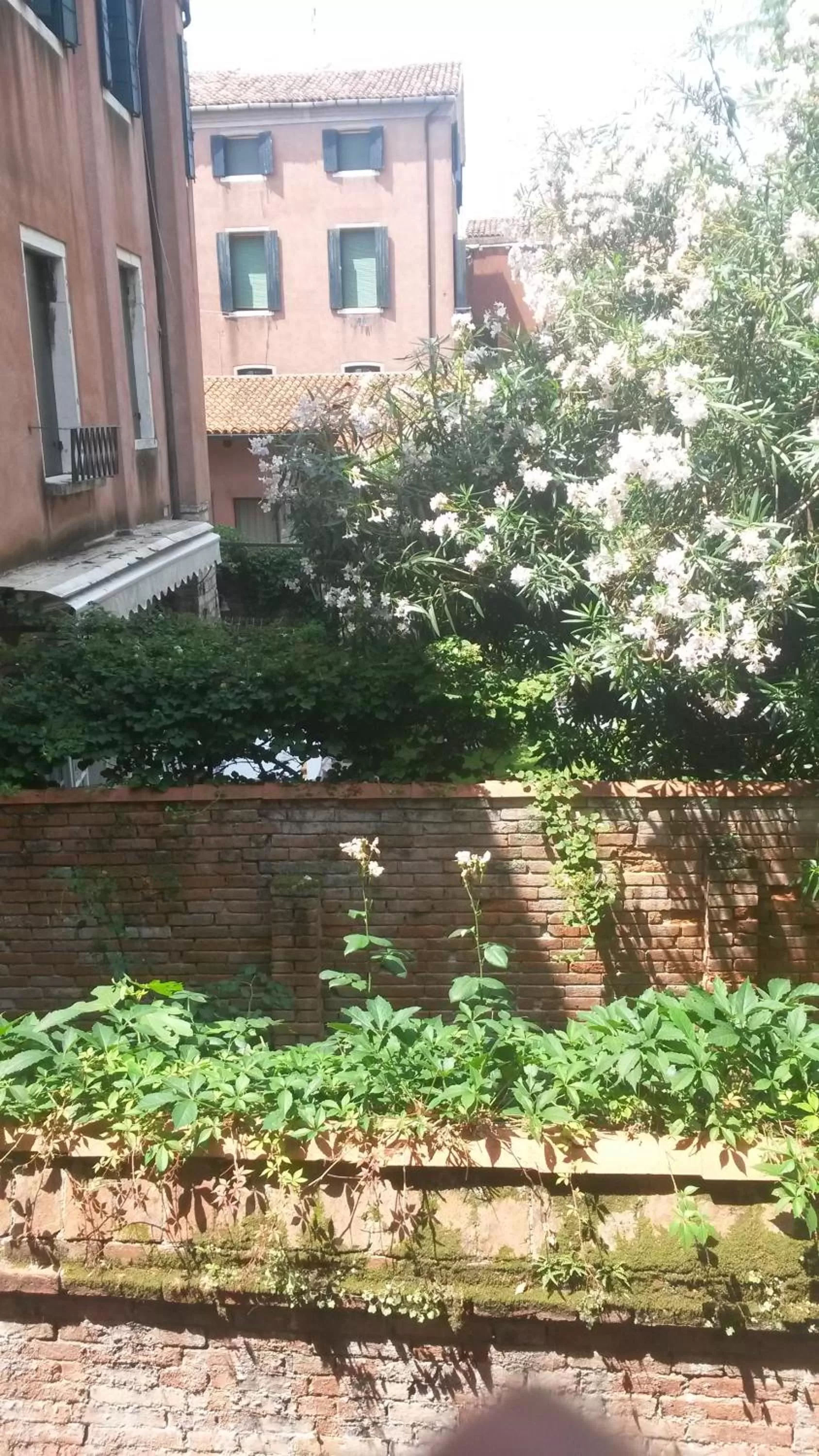 Garden view in Locanda Ca' del Brocchi