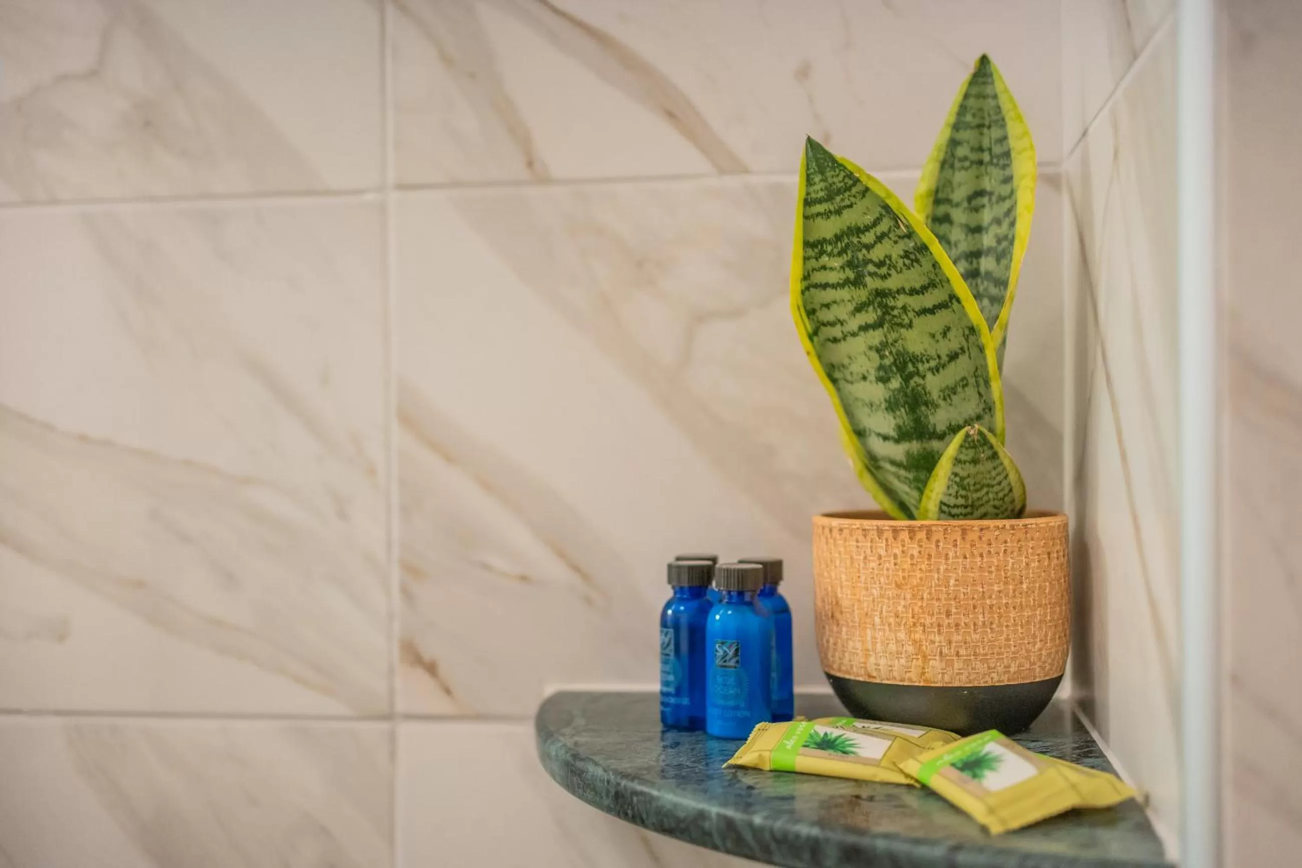 The Stone Manor , Noho boutique hotel Thissio