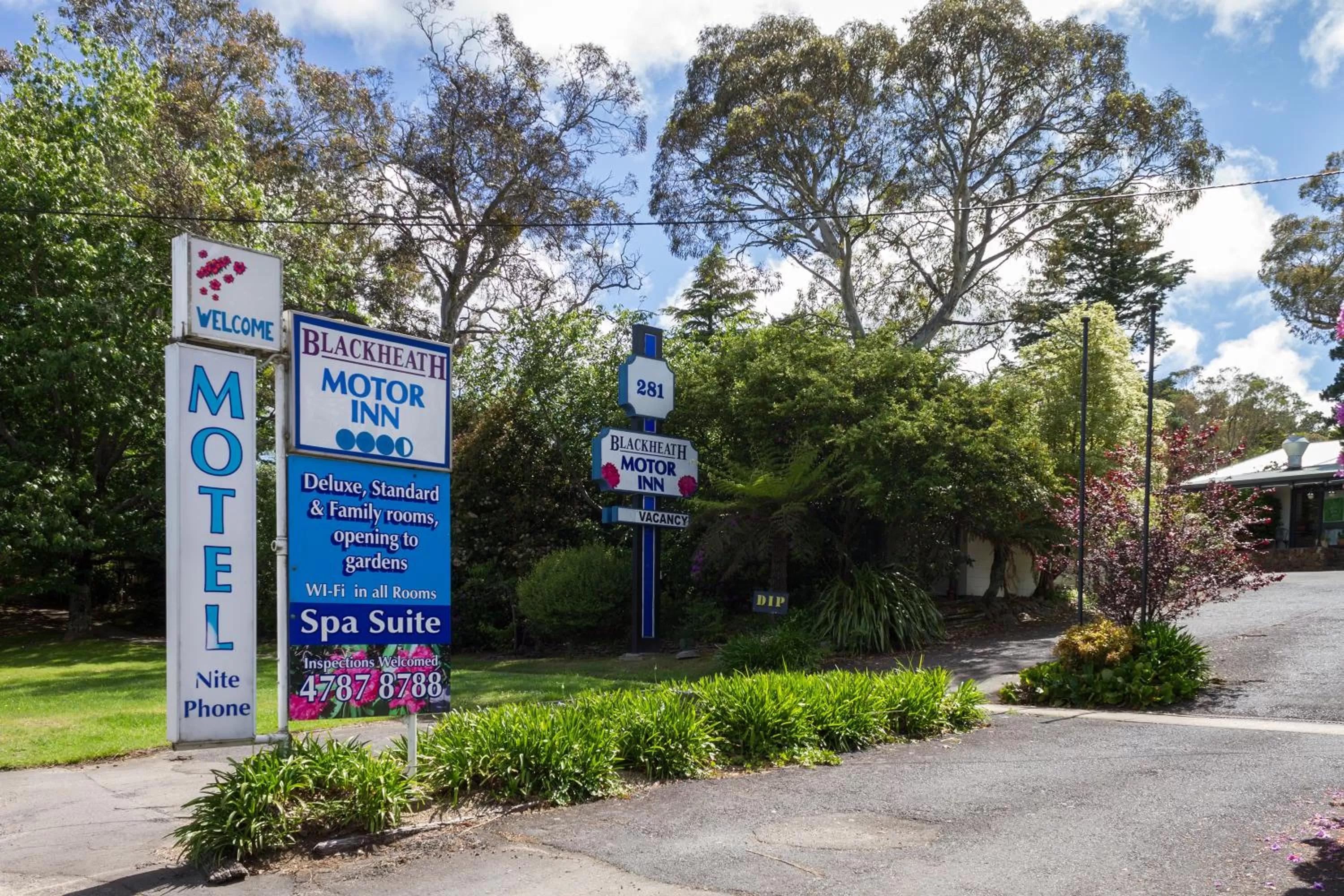 Spring in Blackheath Motor Inn