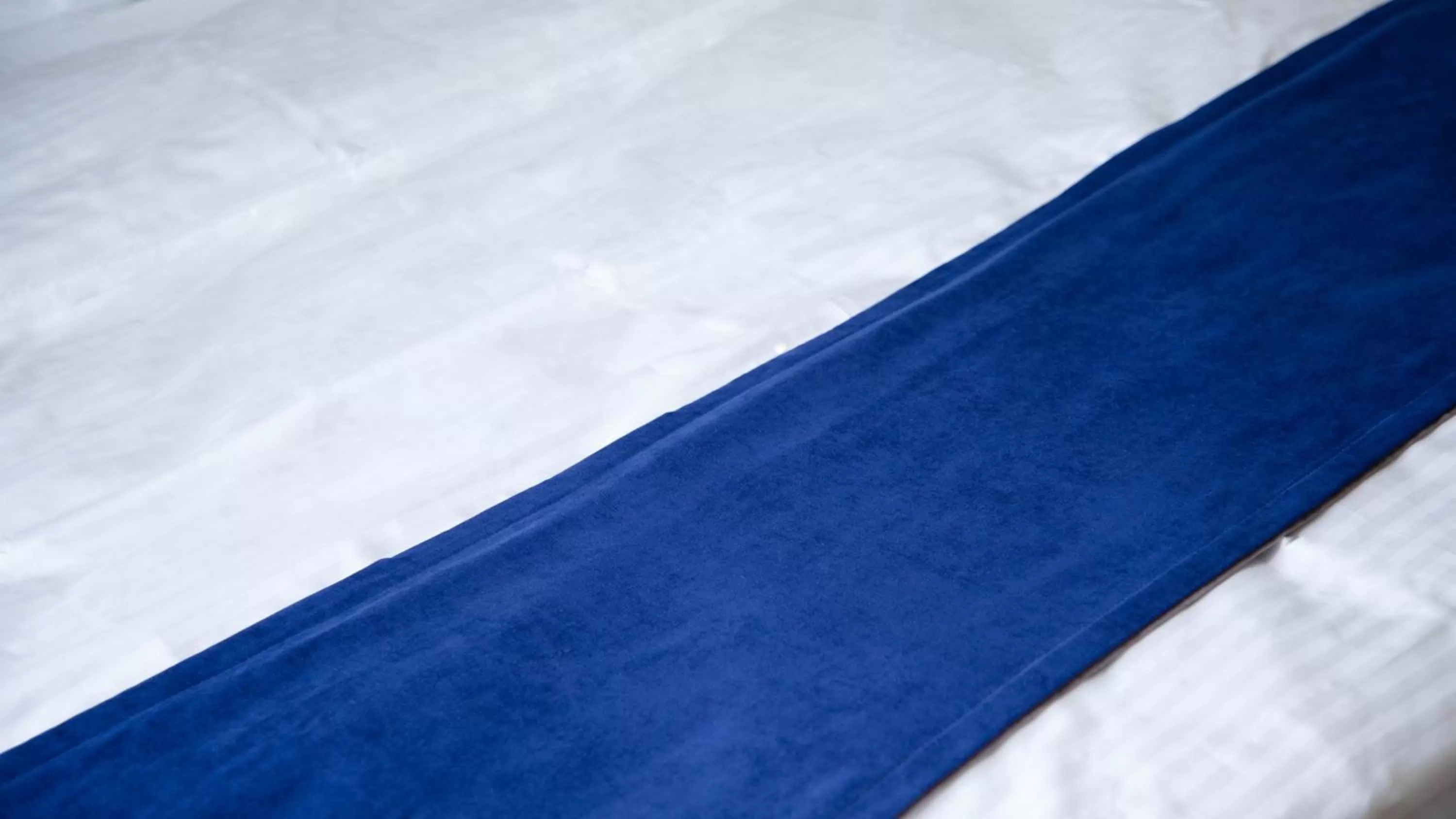 Swimming Pool in Zodiac