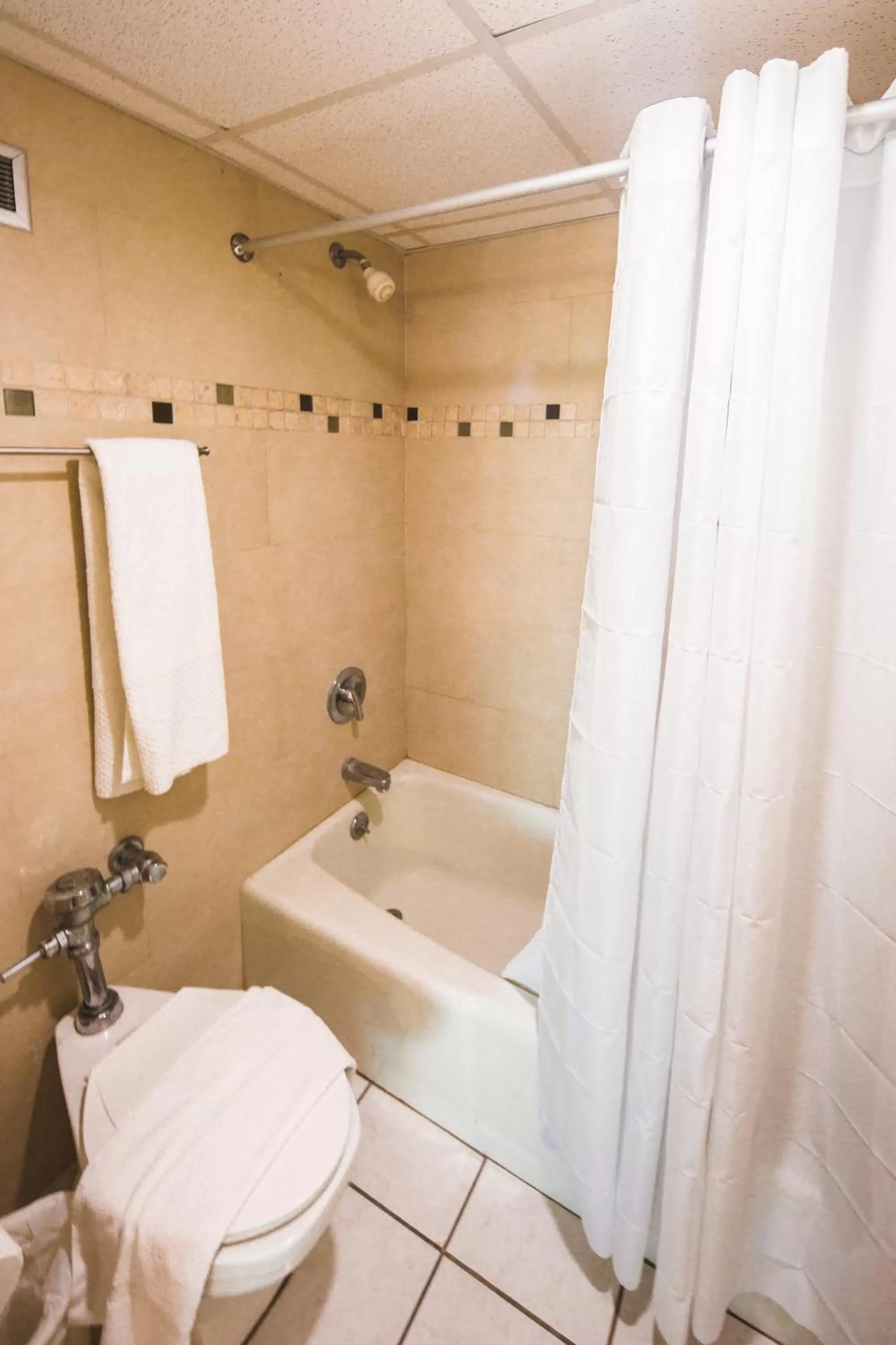 Toilet in ESJ Towers by Chana