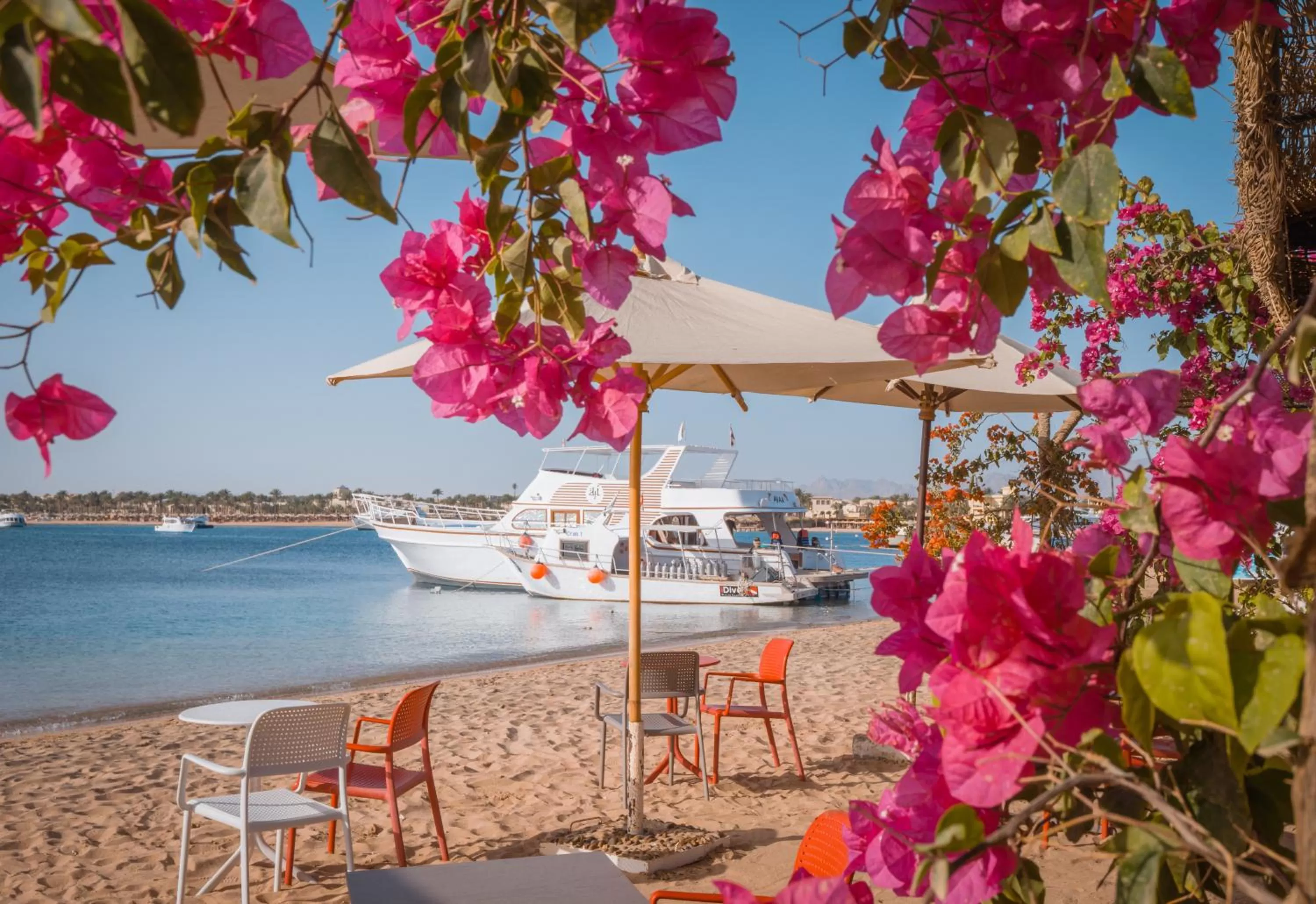 Beach in Fort Arabesque Resort, Spa & Villas