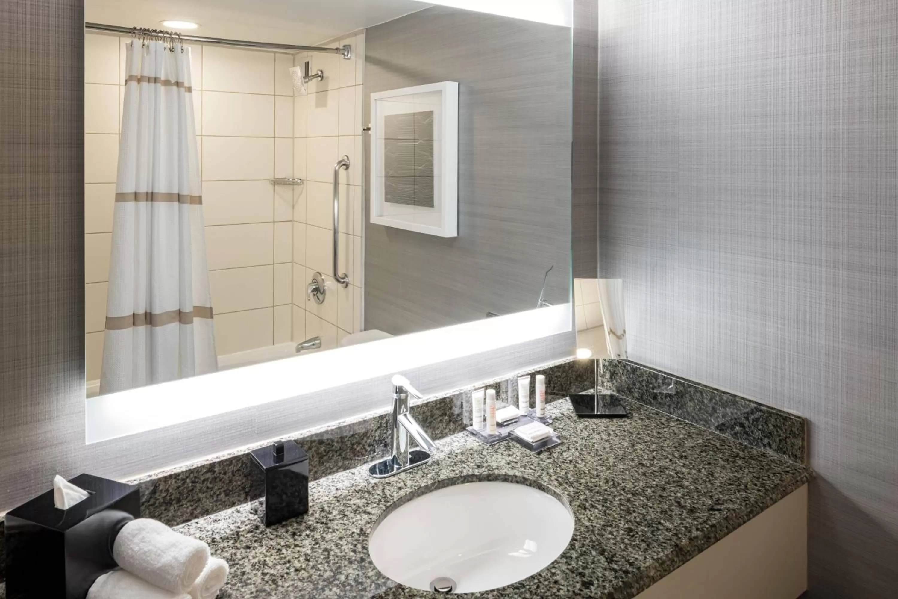 Bathroom in Richmond Marriott