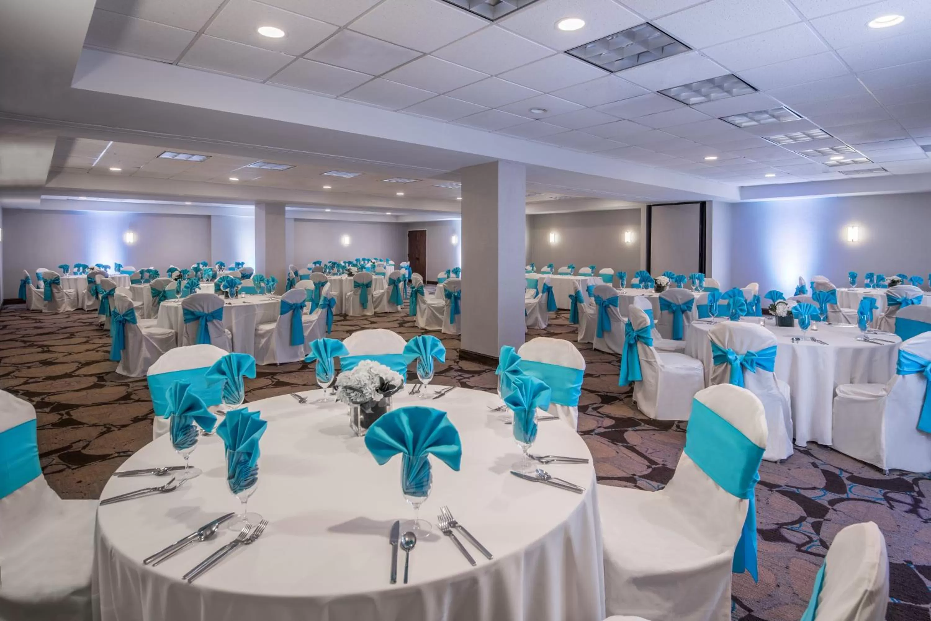 Banquet/Function facilities in Crowne Plaza Memphis Downtown by IHG