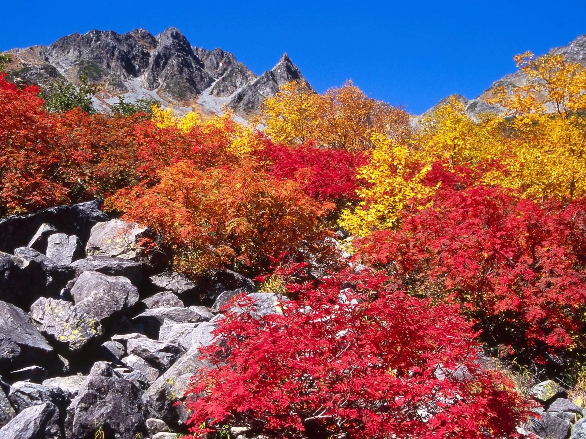 Area and facilities in Hotel Buena Vista