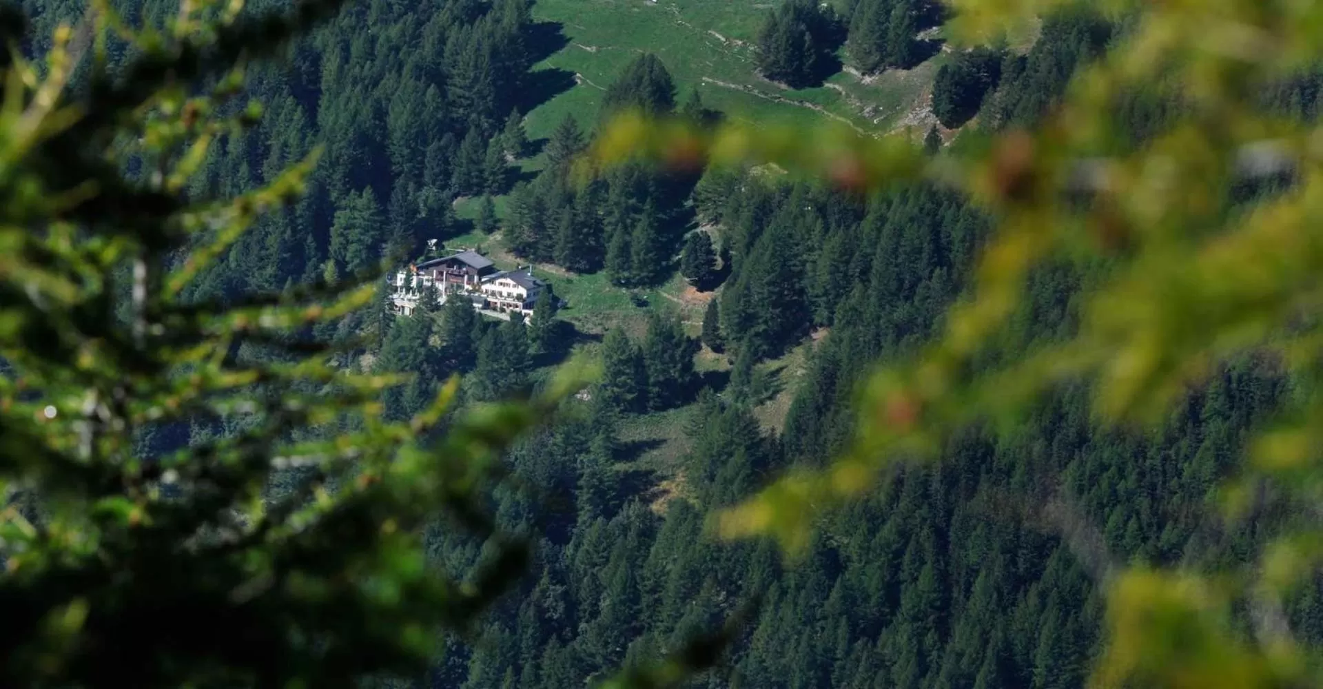 Property building, Natural Landscape in Waldhotel Fletschhorn Saas-Fee