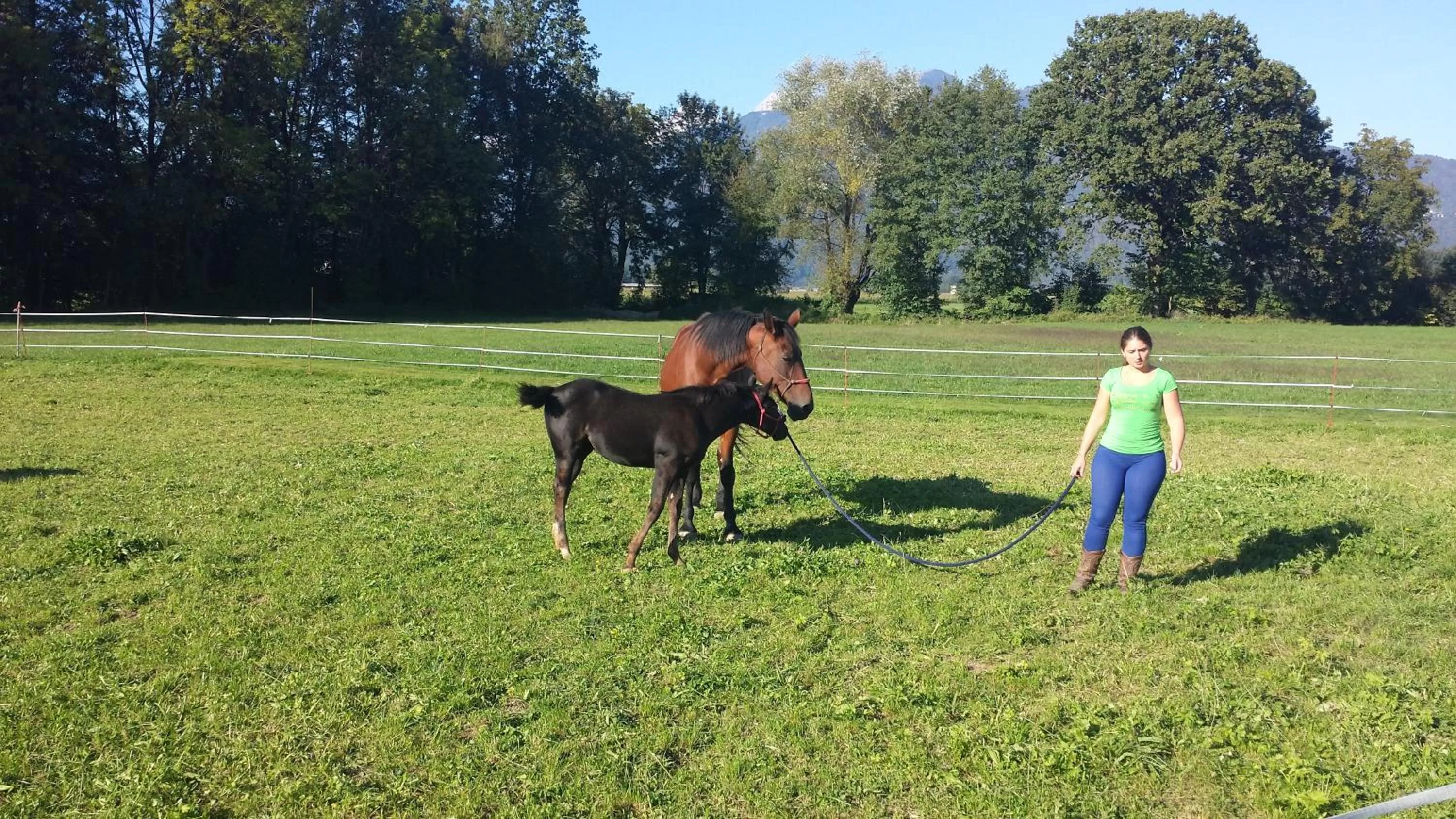 Garden in Rooms & Apartments Jana