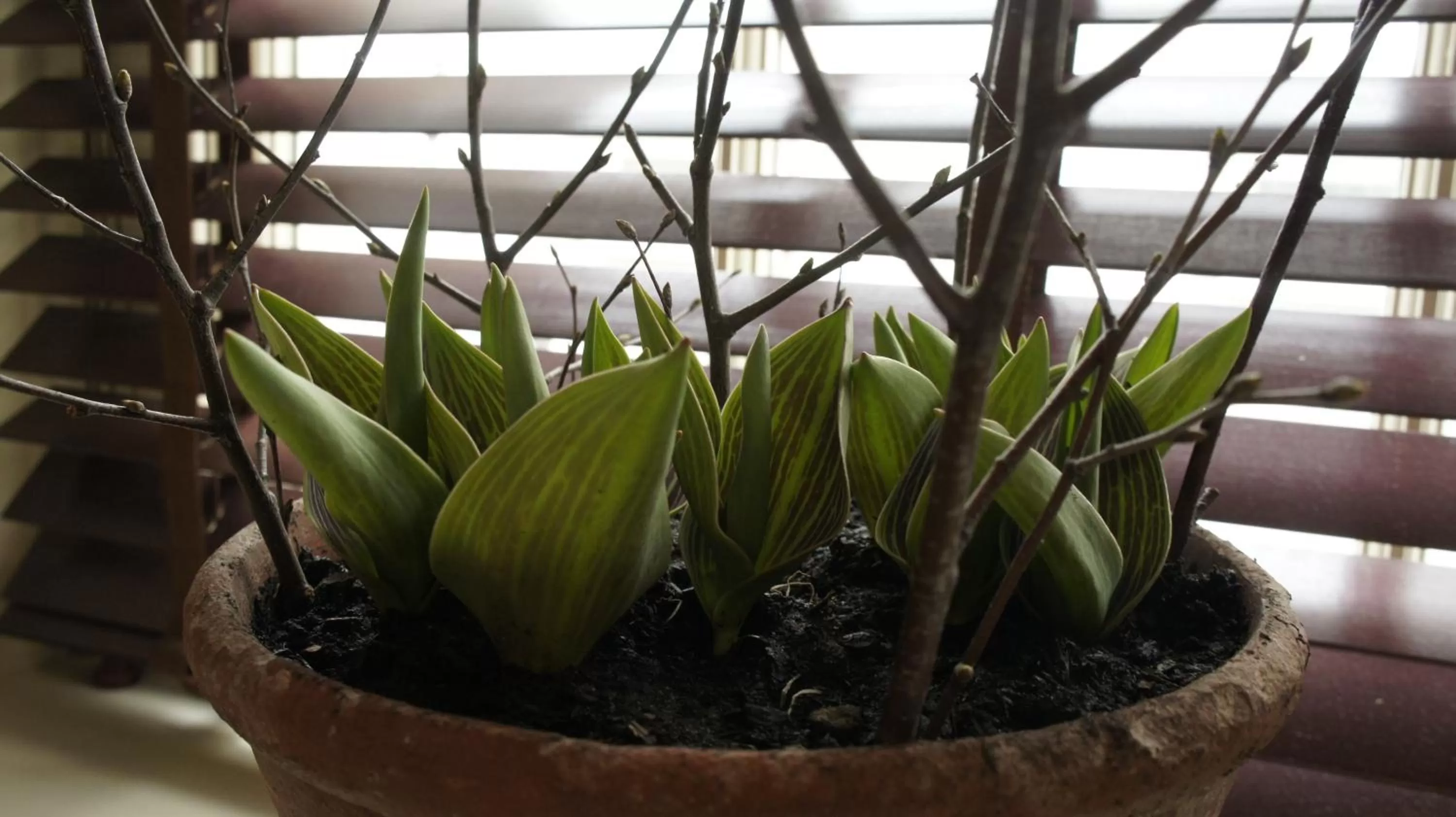 Other in Abergavenny Hotel