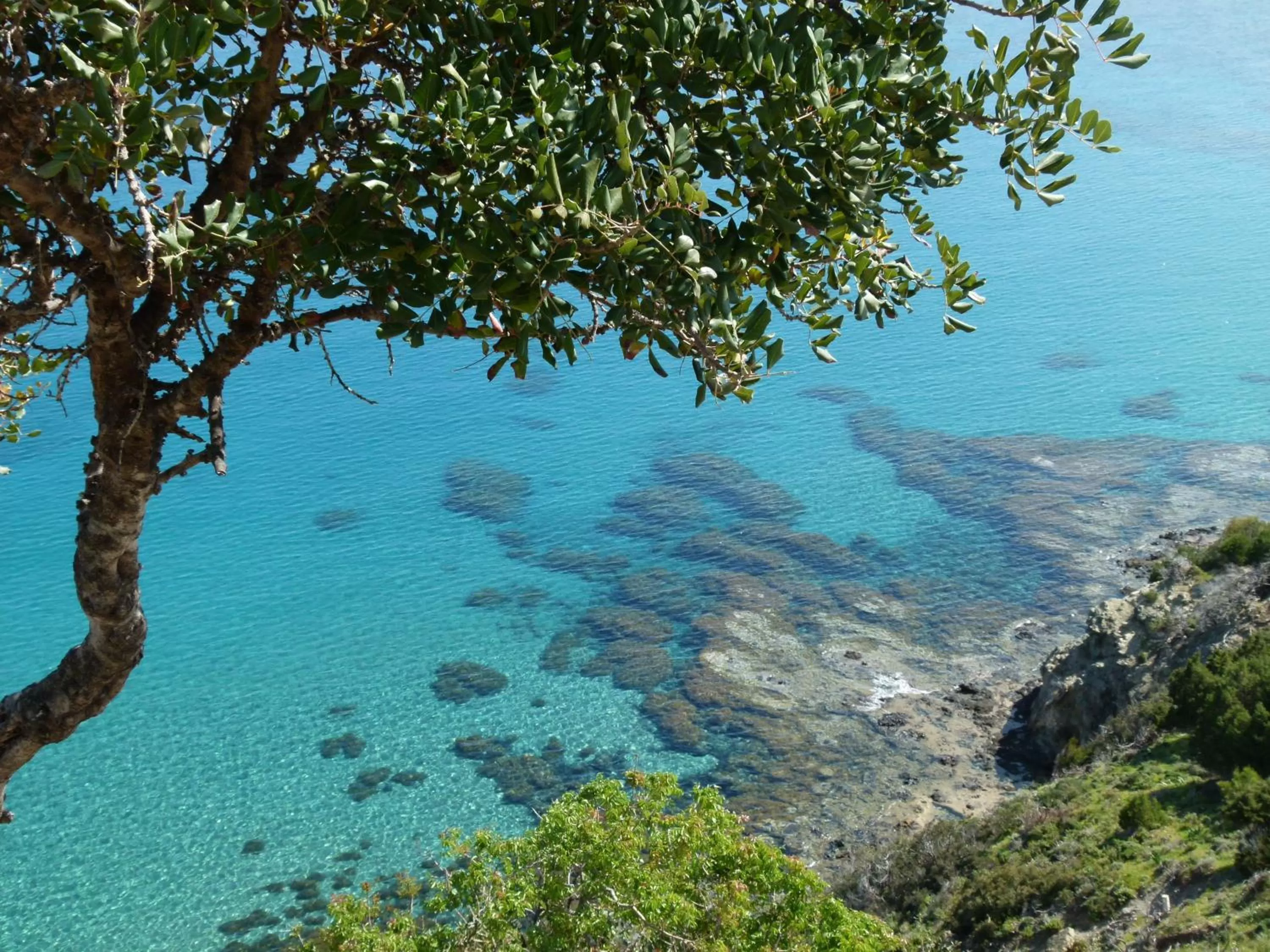 Natural landscape in Aphrodite Beach Hotel
