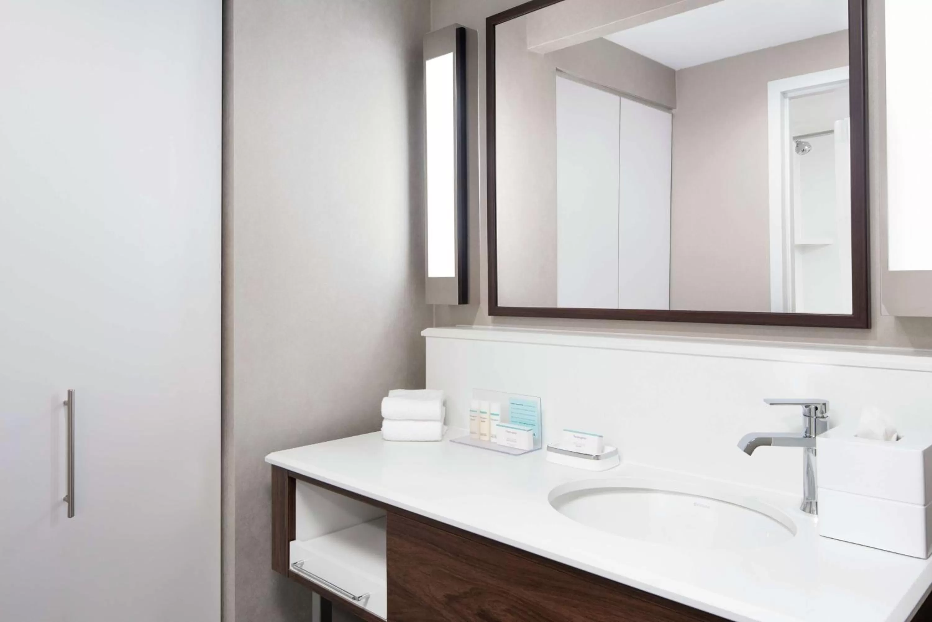 Bathroom in Hampton Inn & Suites Chicago-Downtown