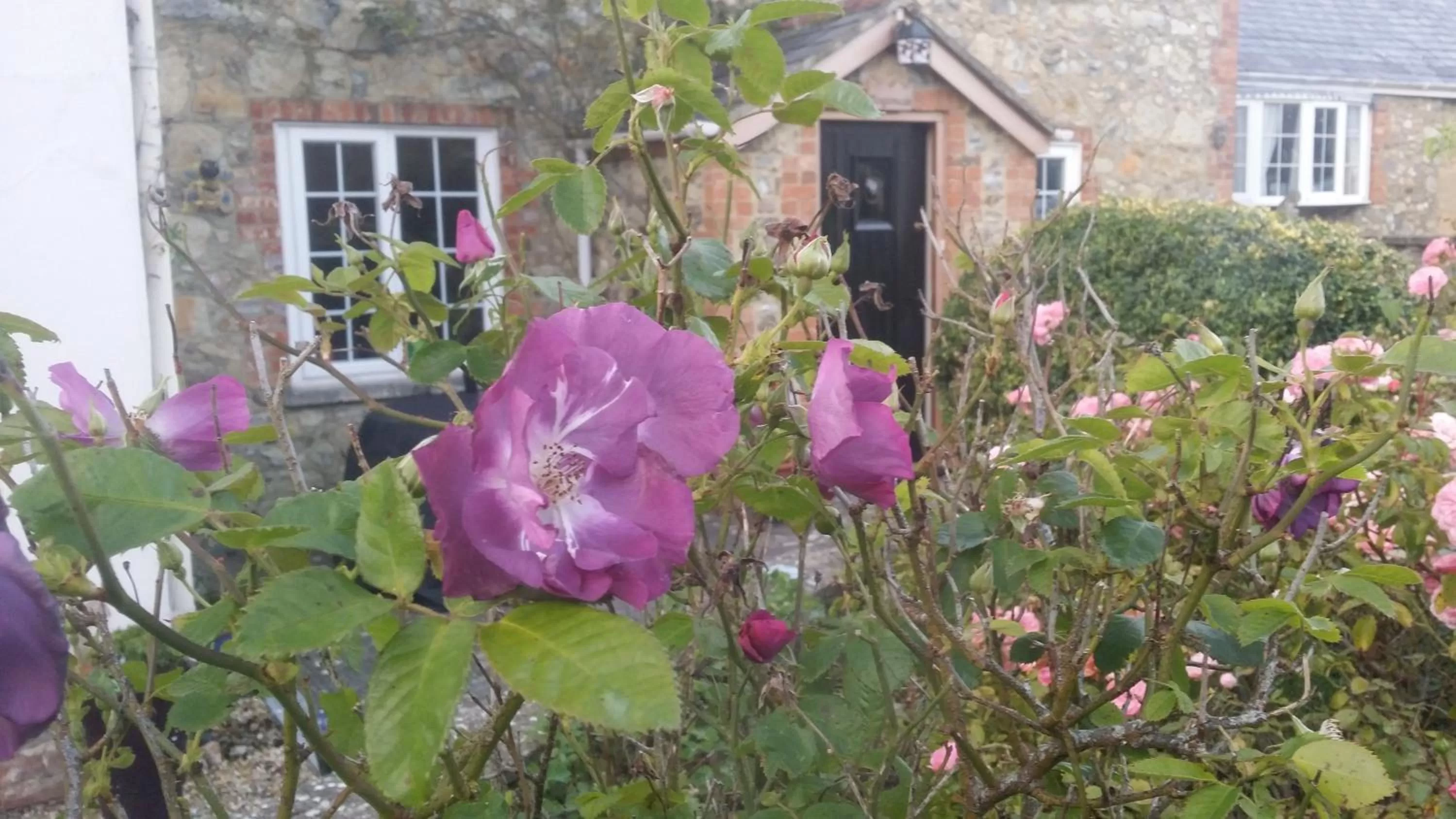 Facade/entrance in Kingsmede Bed & Breakfast