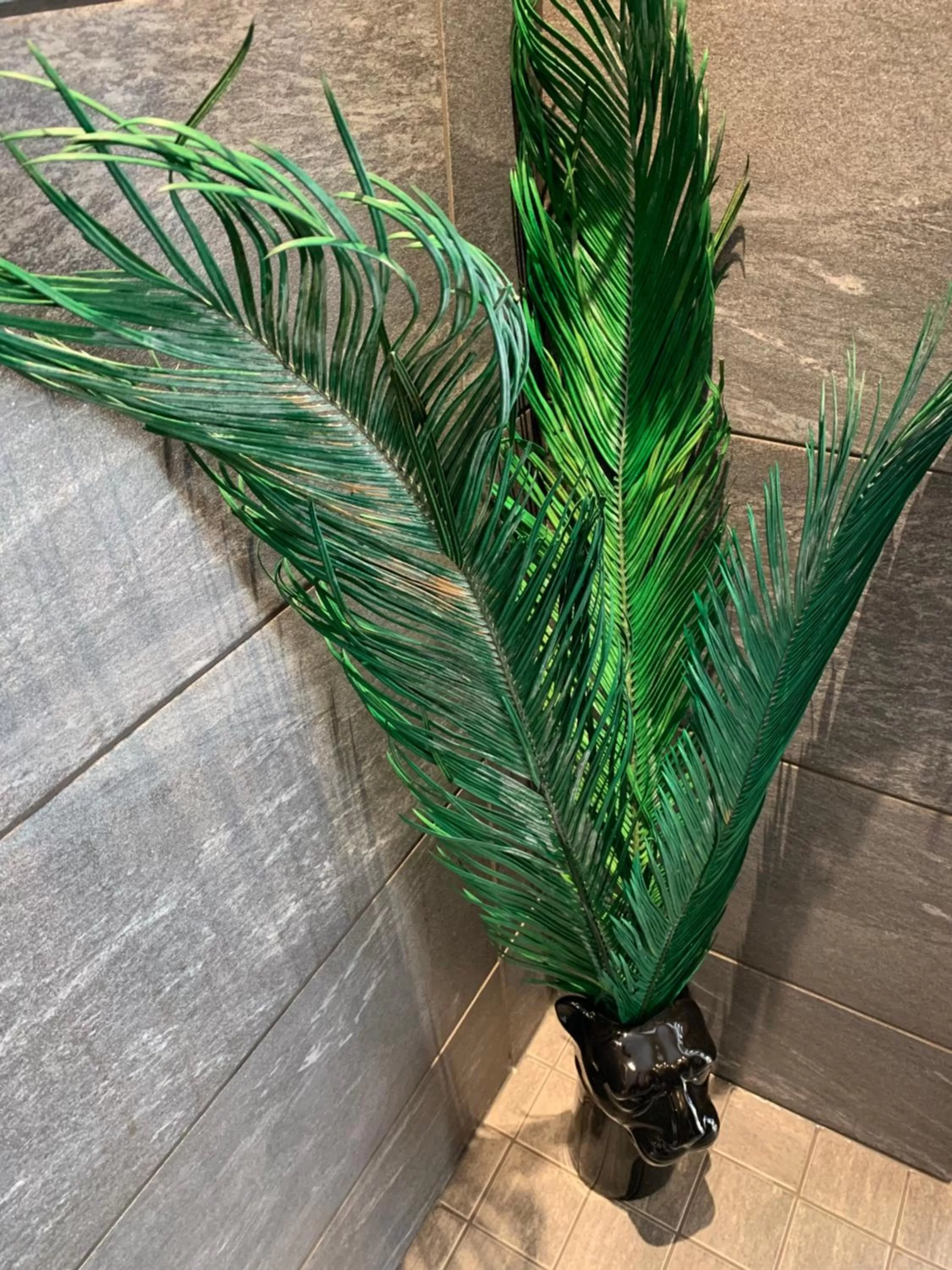 Wherever Mini Hostel