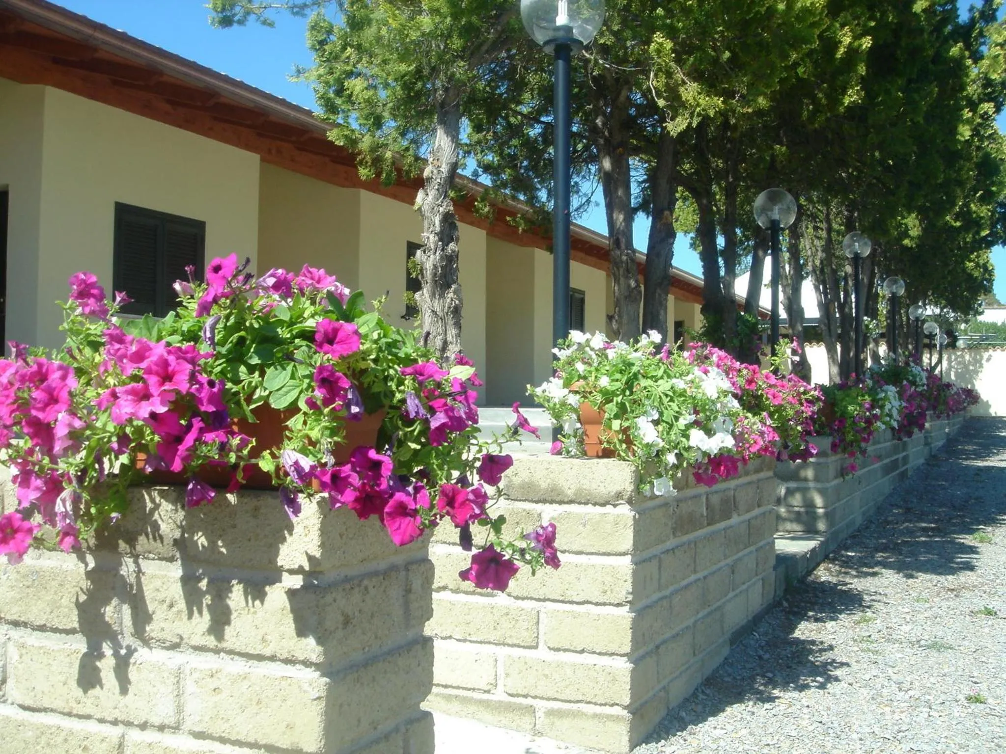 Property building in Hotel Samarcanda