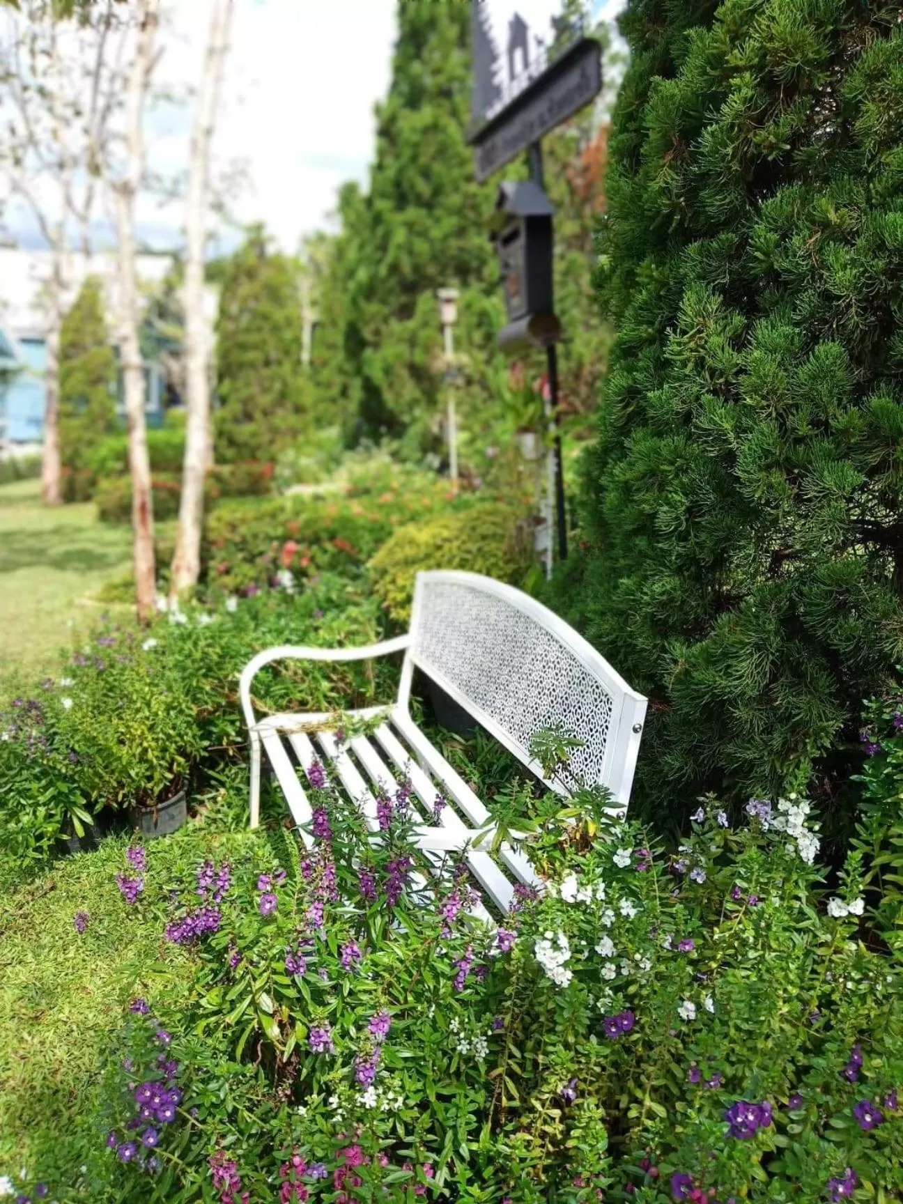 Baan JaoKorKluay บ้านเจ้ากอกล้วย