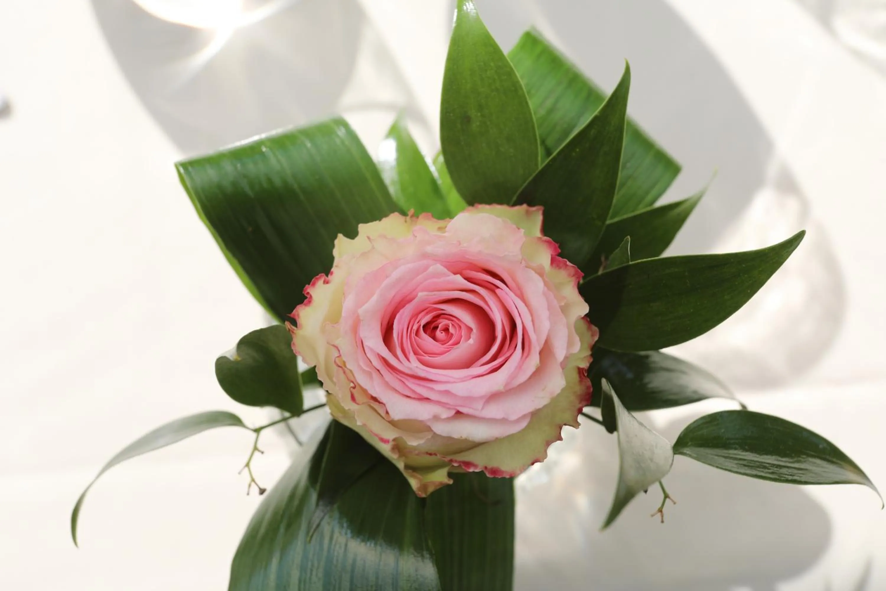 Restaurant/places to eat in Mon Port Hotel & Spa