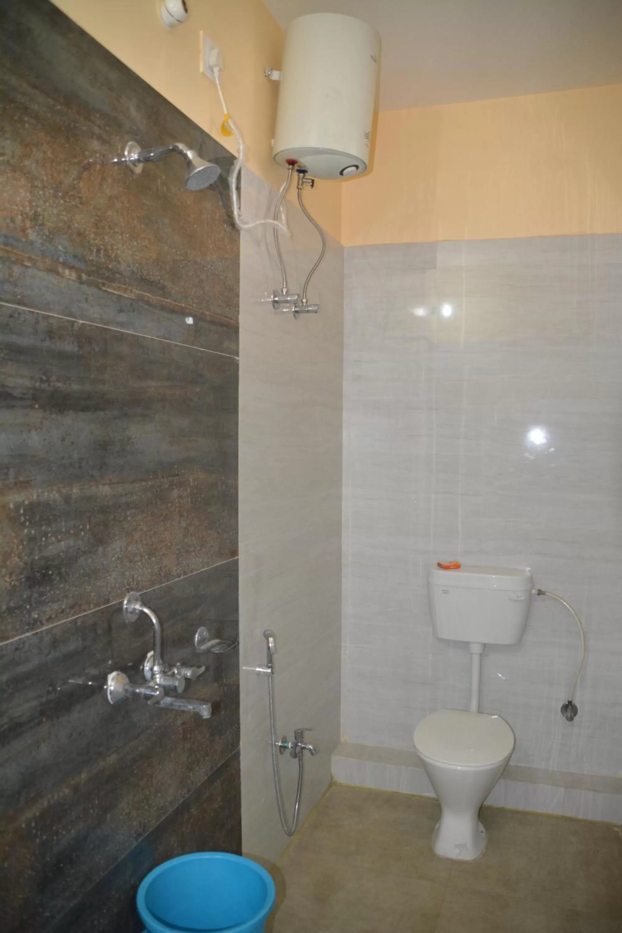 Toilet in HOTEL MANORAMA PALACE