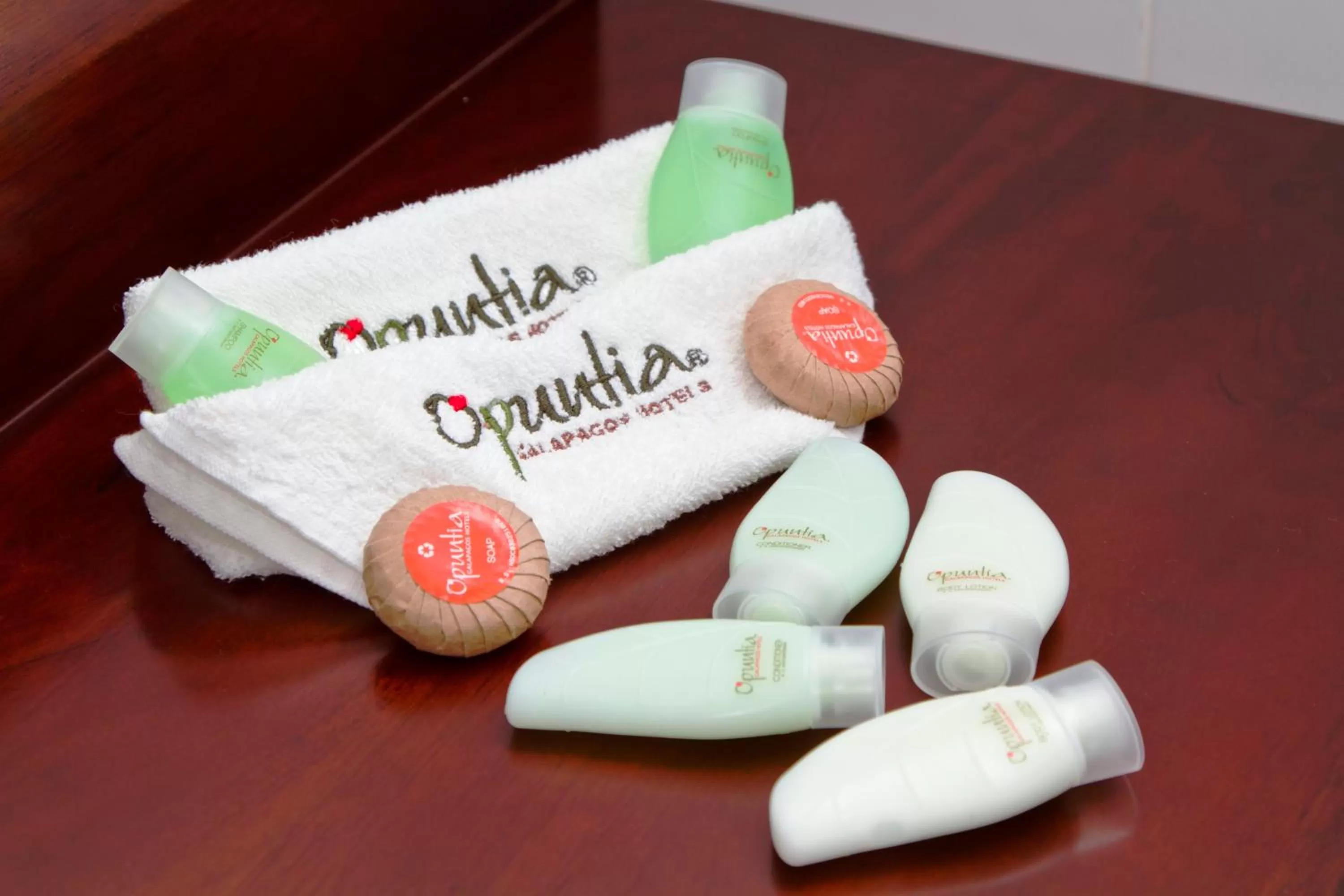 Toilet in Hotel Volcano