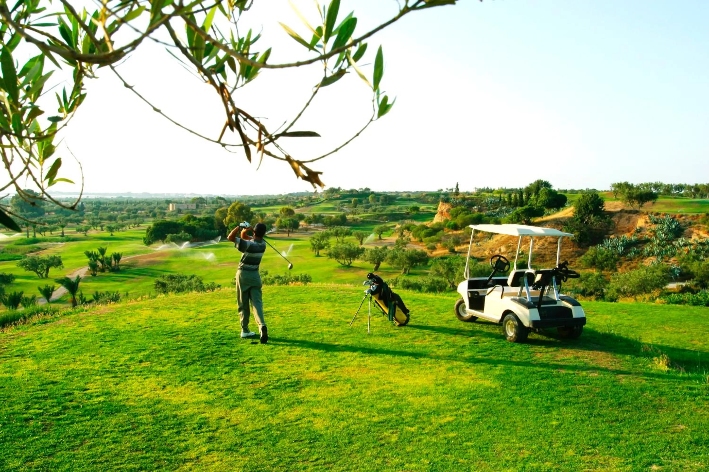 Activities in Regency Hotel & Spa