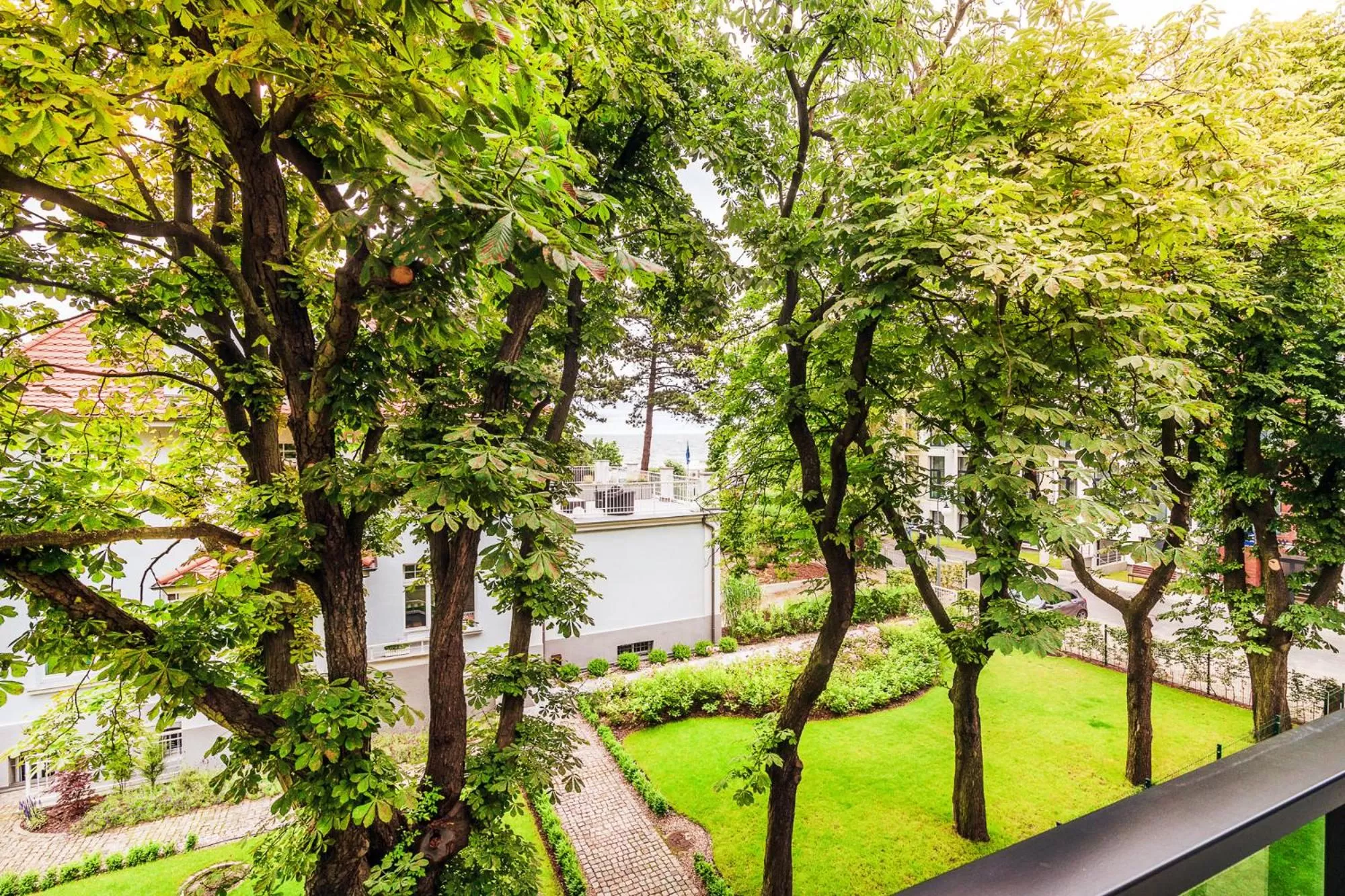 Garden in Hotel Testa