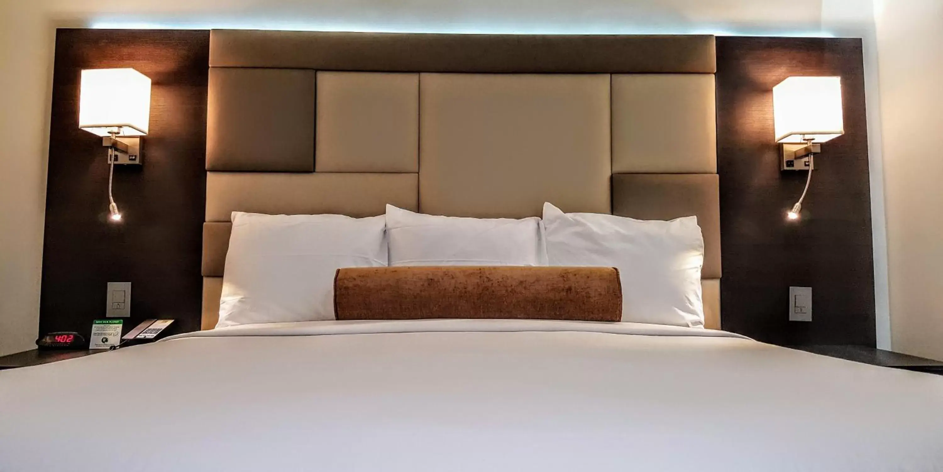 Suite with Pool View in Hotel Xilo Glendale Suite with Pool View in Hotel Xilo Glendale