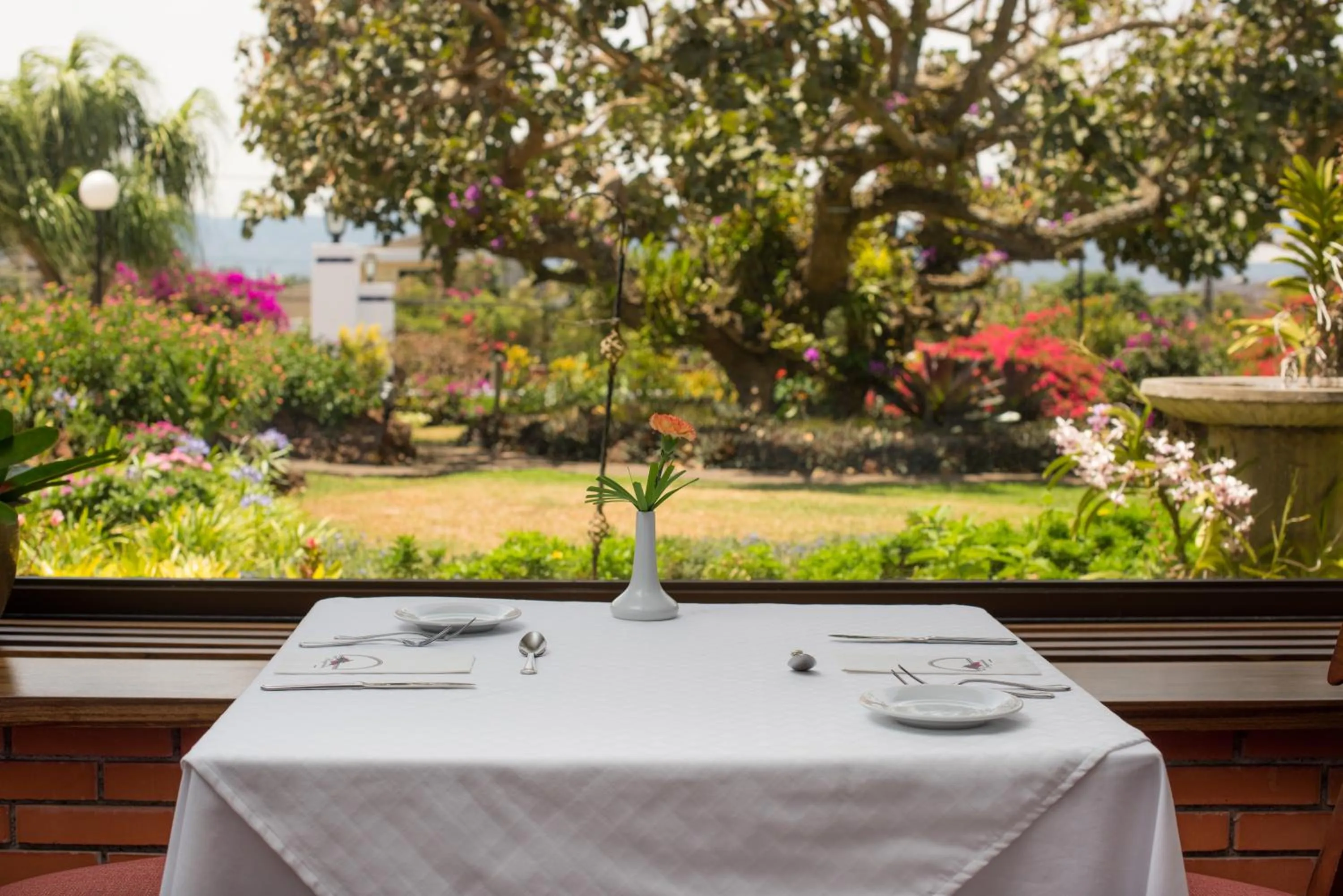 Restaurant/places to eat in Hotel Bougainvillea San José