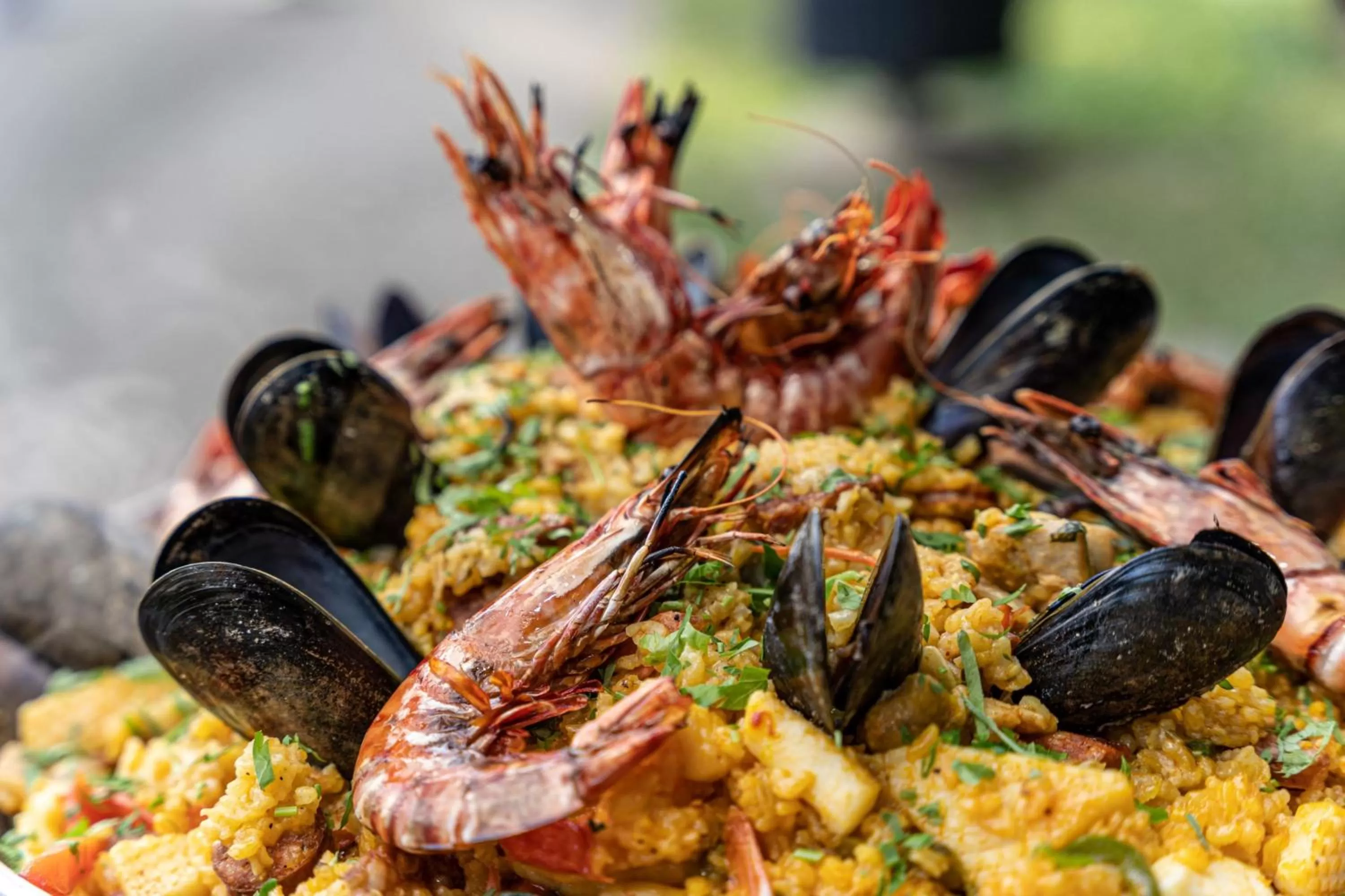 Other in Sheraton Grand Mirage Resort, Port Douglas