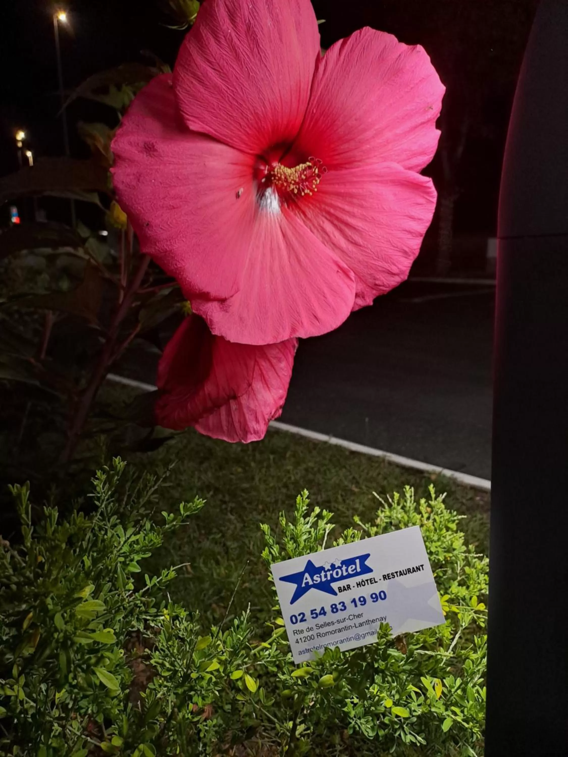 Astrotel Romorantin-Lanthenay Soirée étape