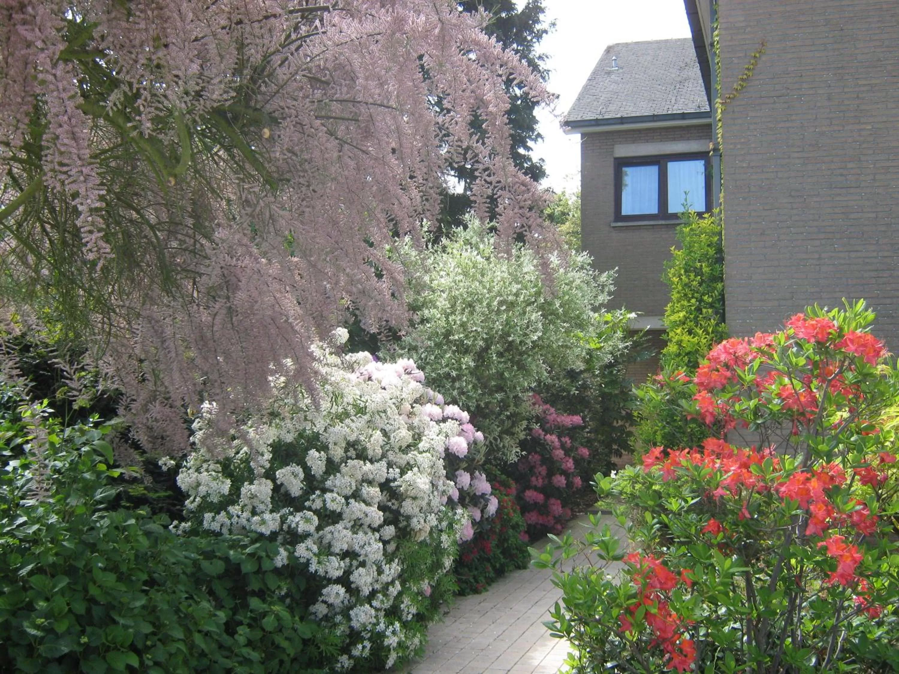 Street view in Prince d'Orange Bed & Breakfast