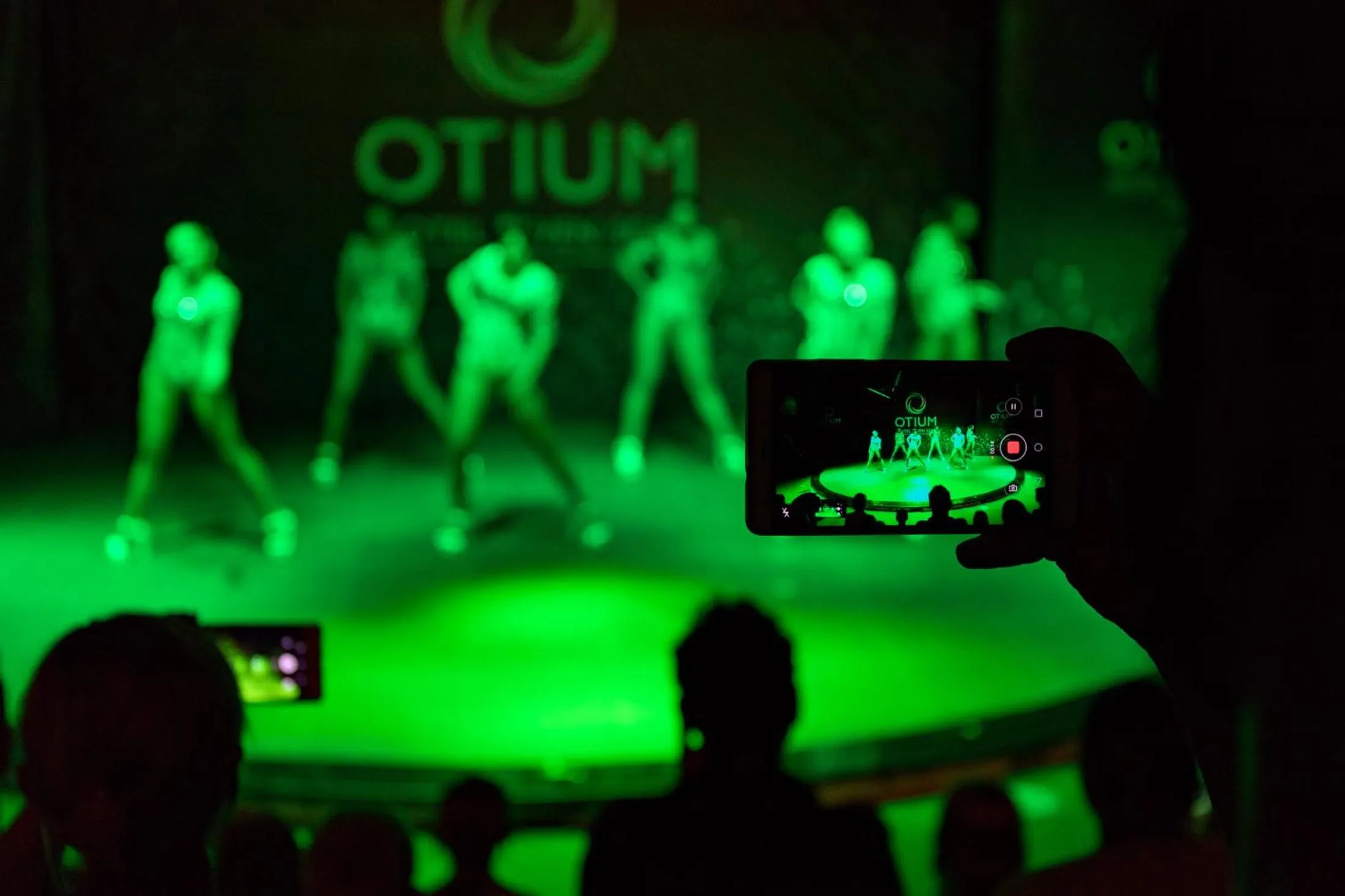 Evening entertainment in Seven Seas Hotel Blue - Ultra All Inclusive & Kids Concept