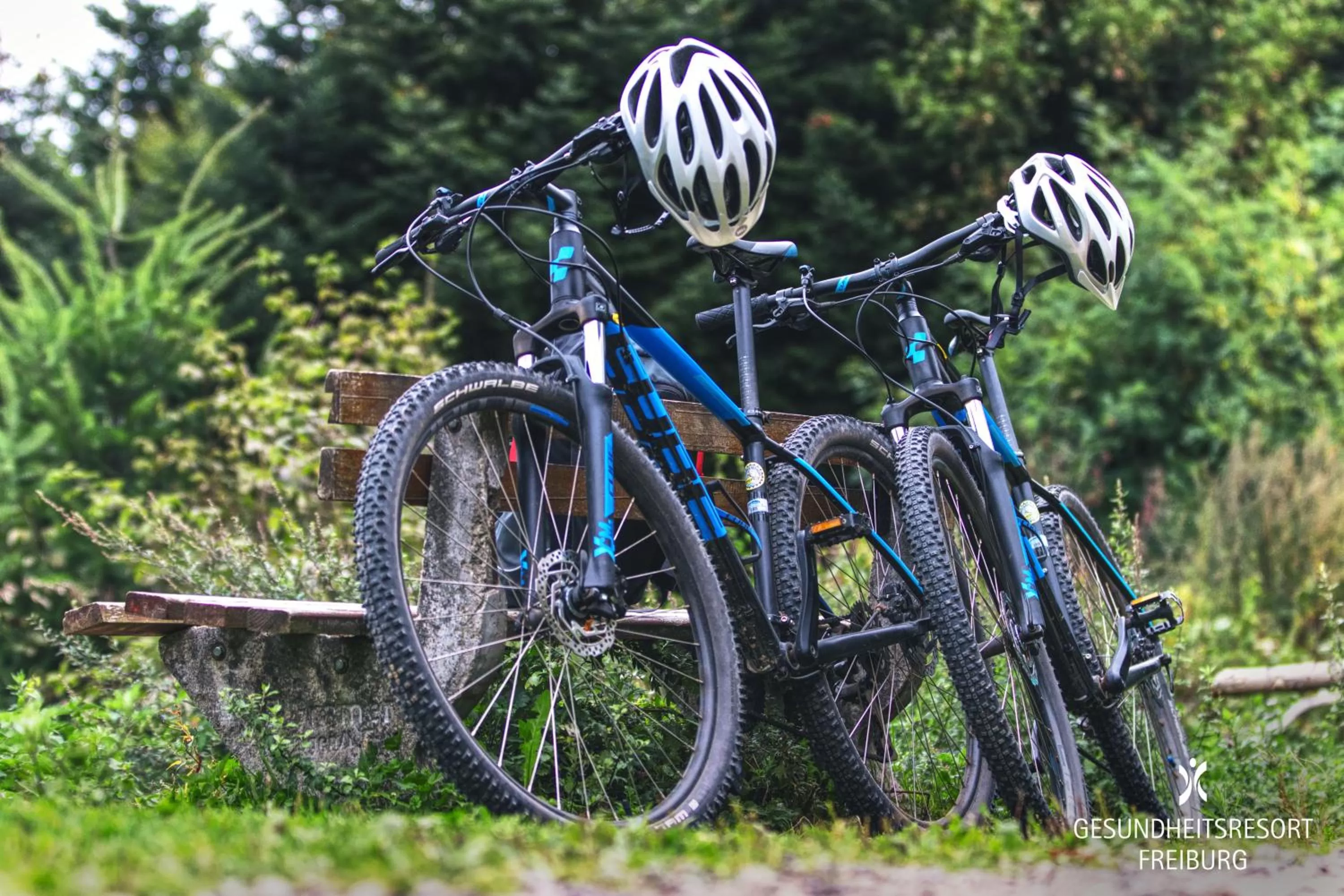 Activities in Dorint Thermenhotel Freiburg