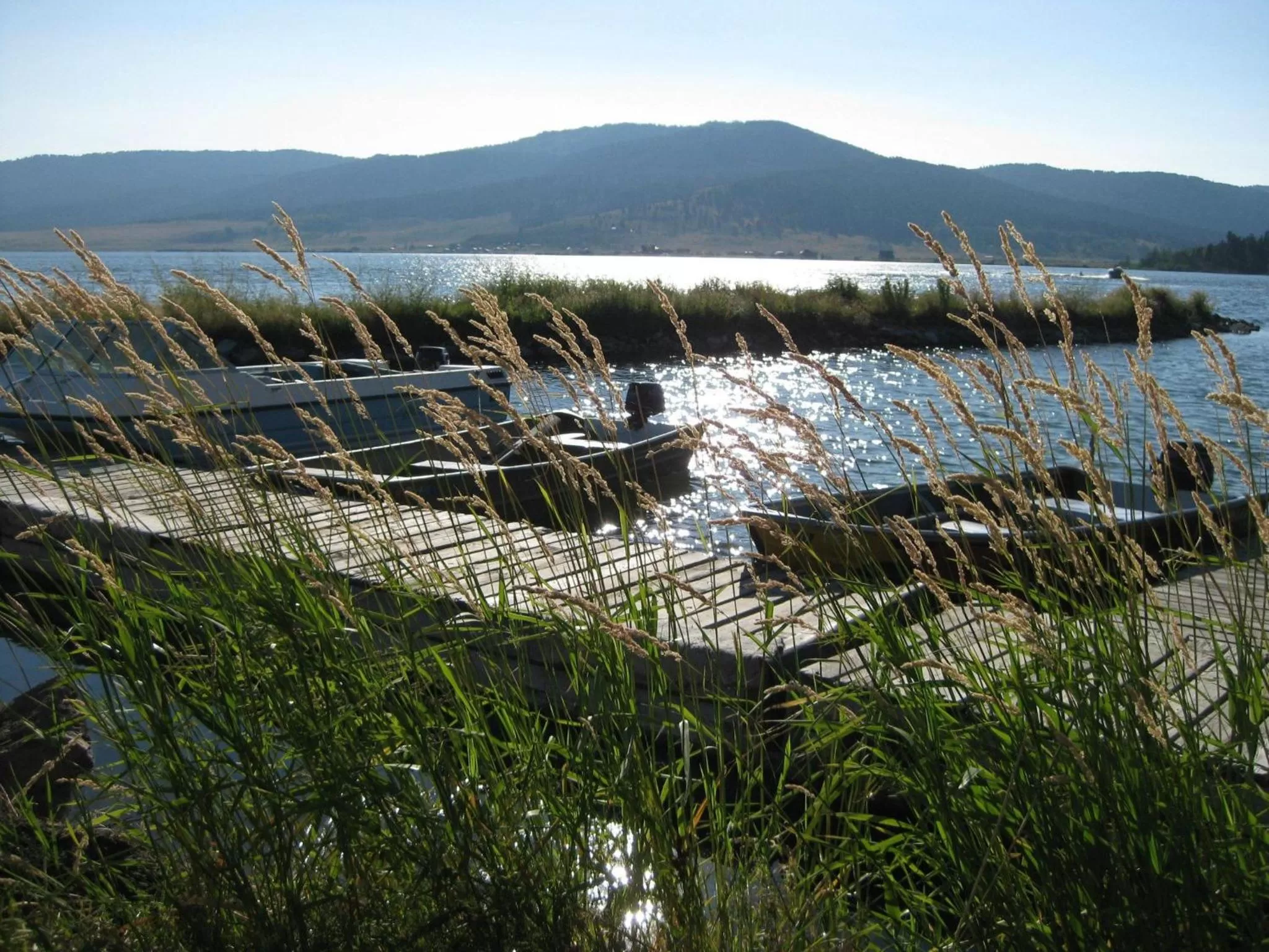 View (from property/room) in Jared's Wild Rose Ranch Resort