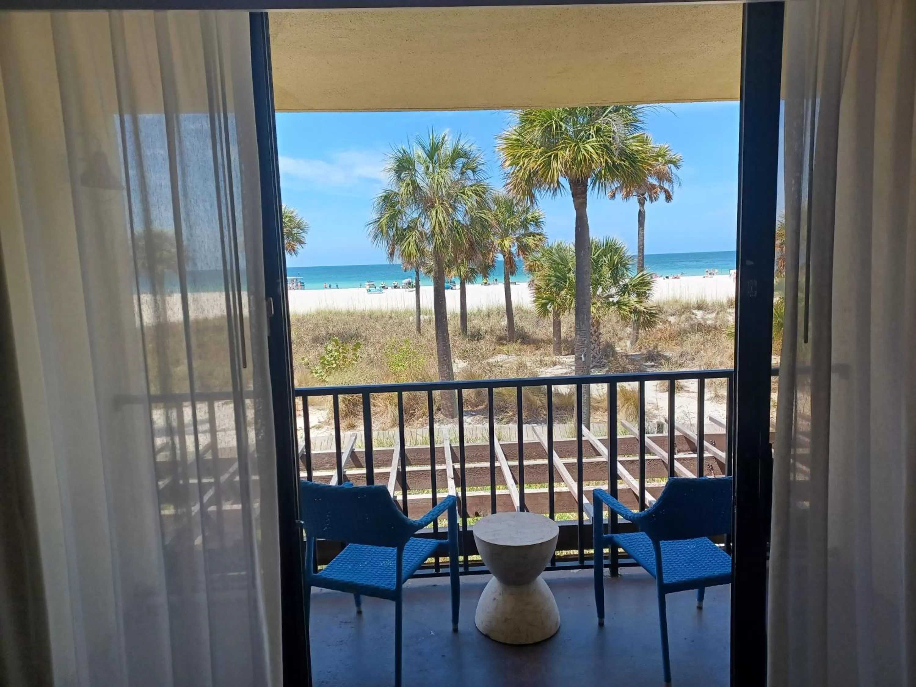 Natural landscape in Sirata Beach Resort St Pete Beach