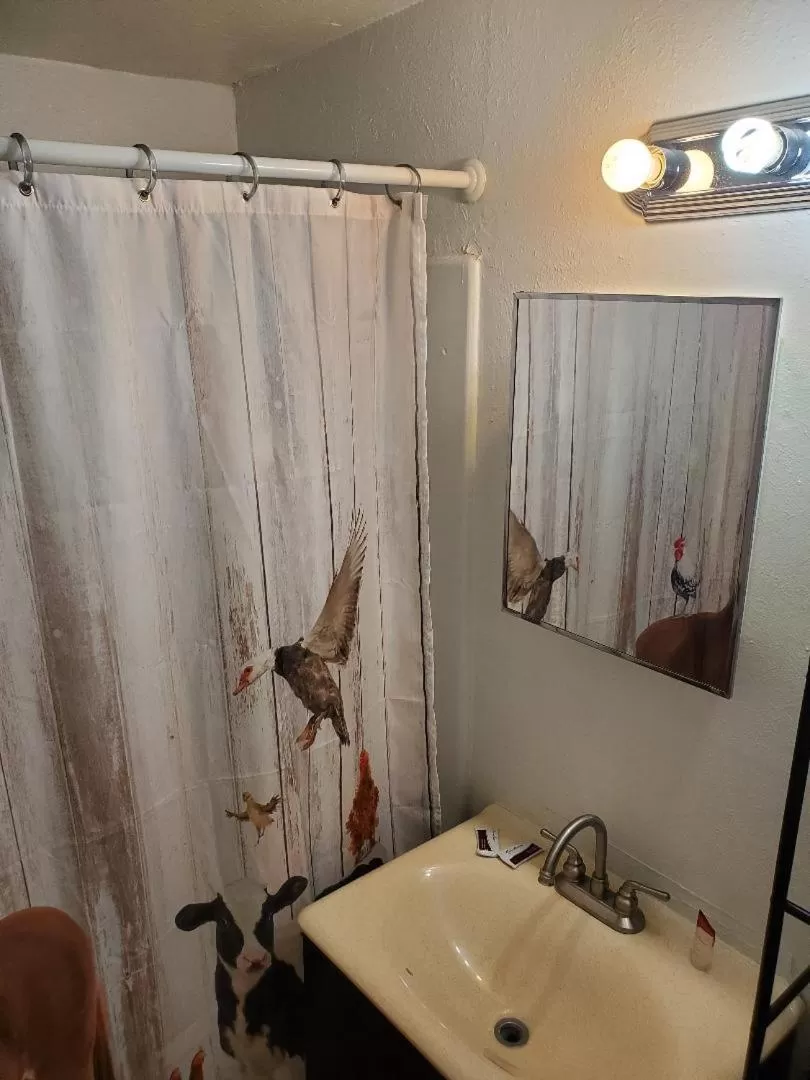 Studio in Brad's Desert Inn