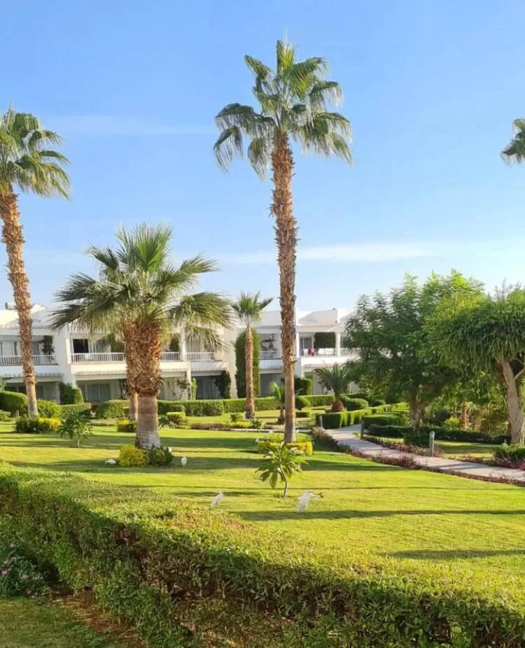 Natural landscape in Monte Carlo Sharm Resort & Spa