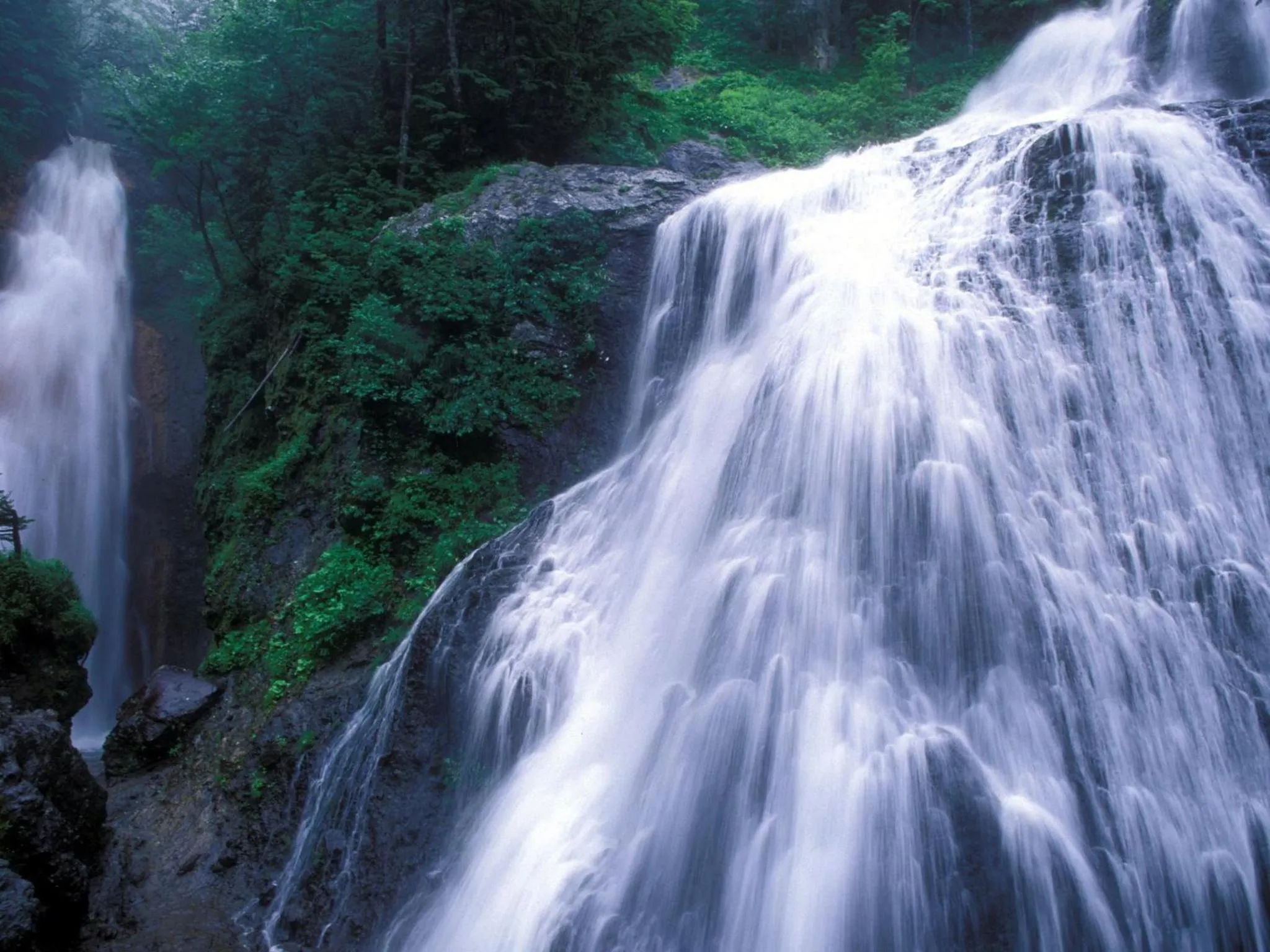 Area and facilities in Hotel Buena Vista