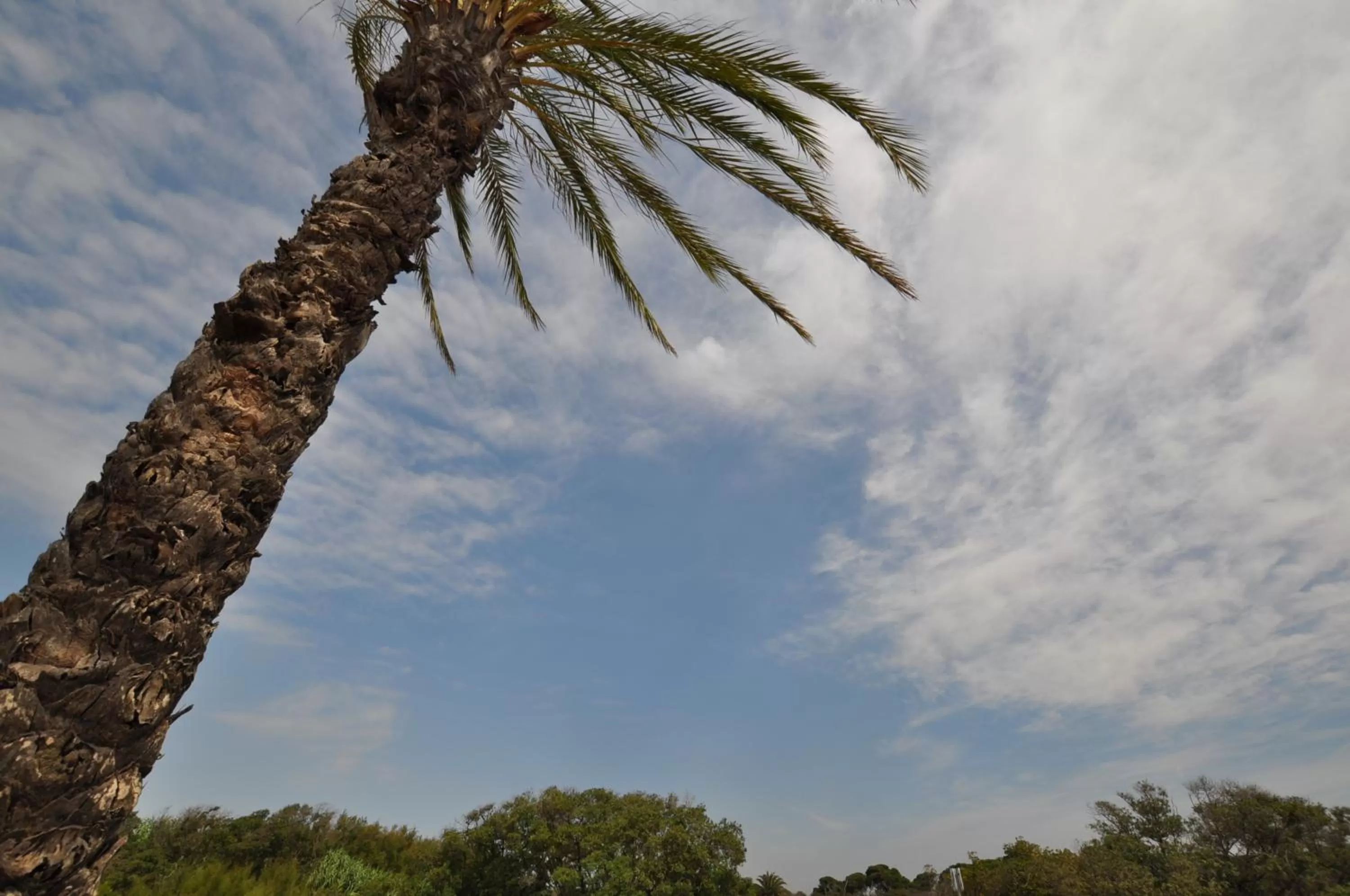 Beach in Airhostel Barcelona Airport 24h