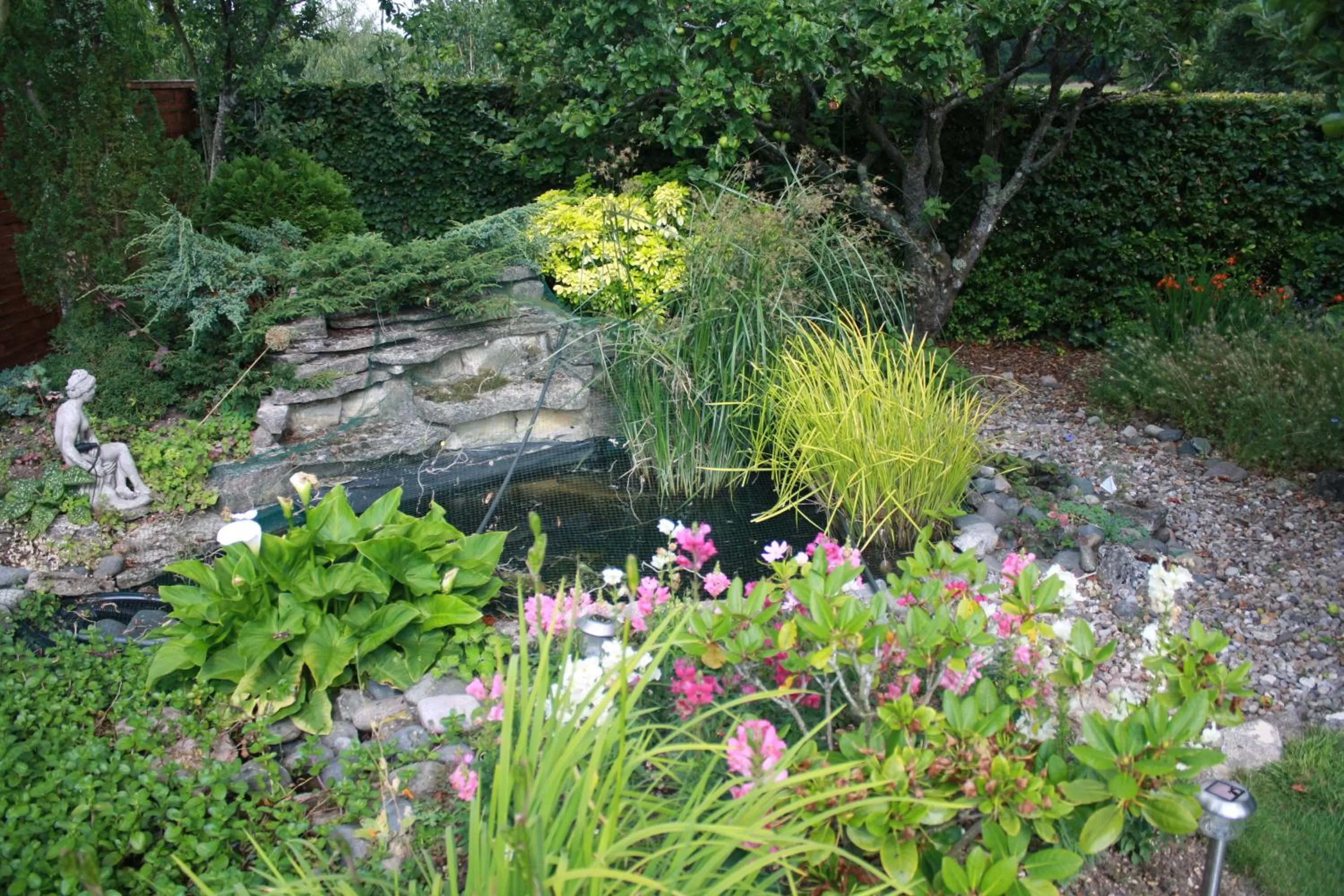 Garden in St Algars b&b