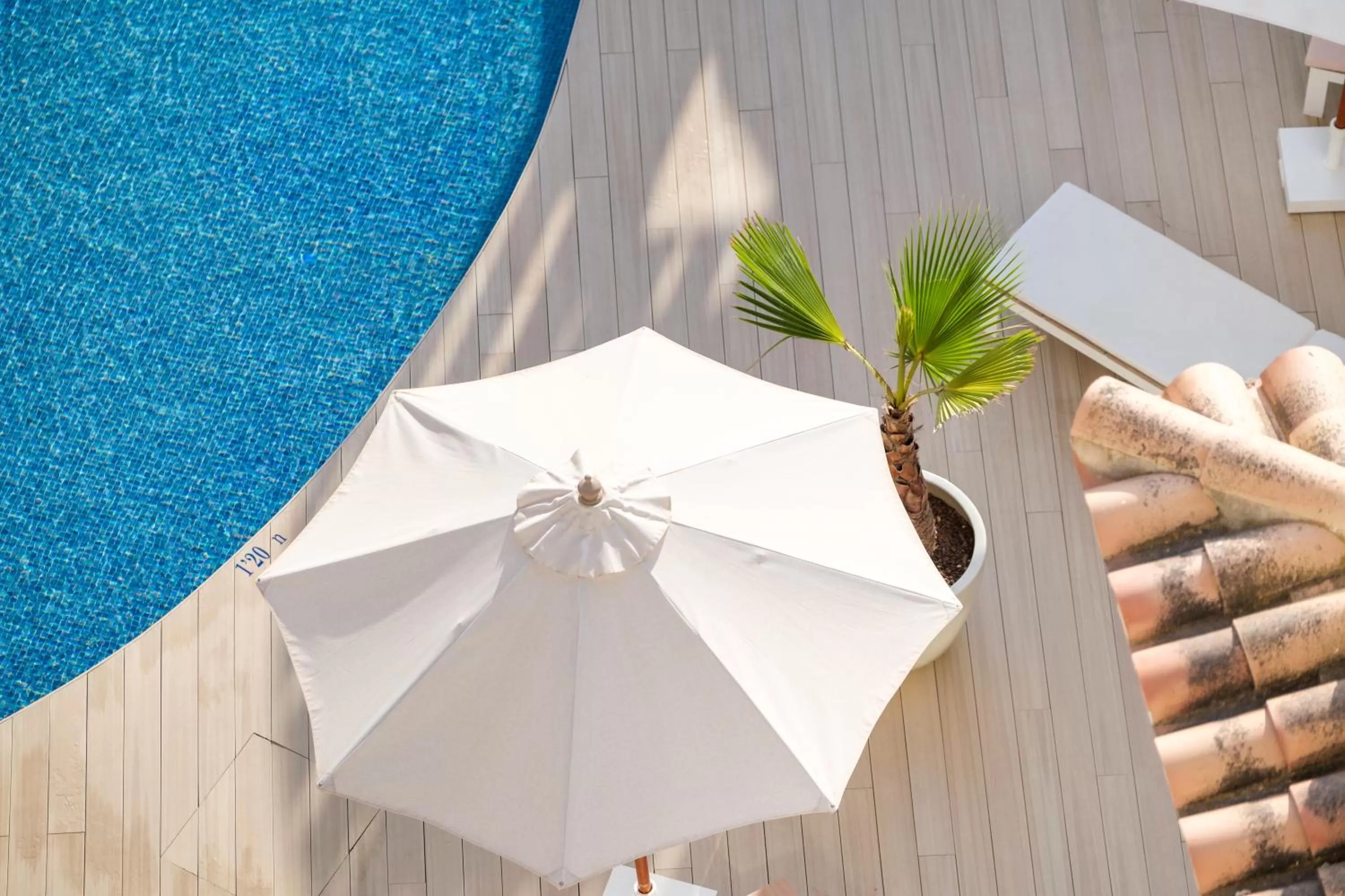 Balcony/Terrace in Hotel Villa Chiquita - Adults Only - Over 12