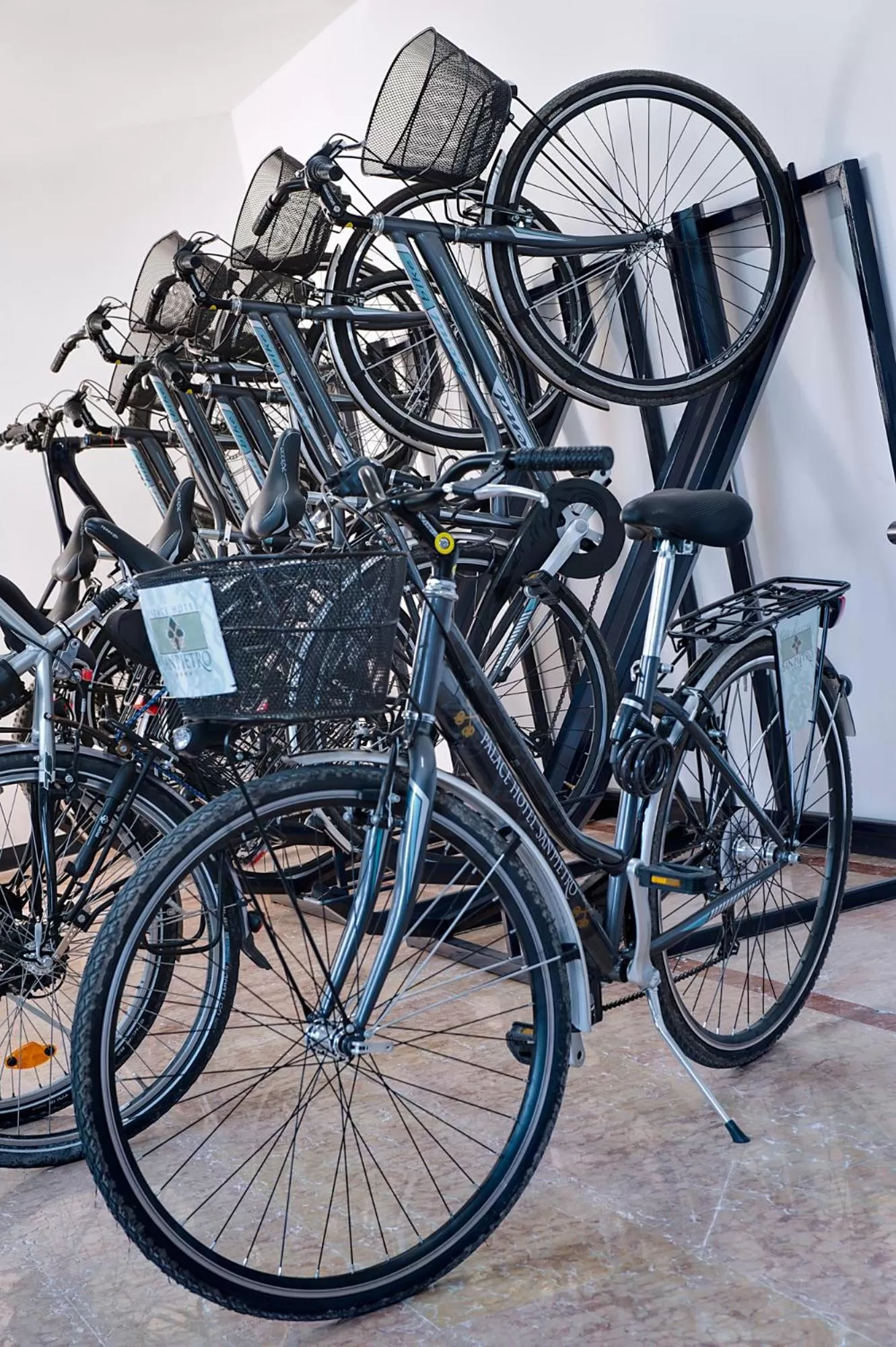 Cycling in Palace Hotel San Pietro