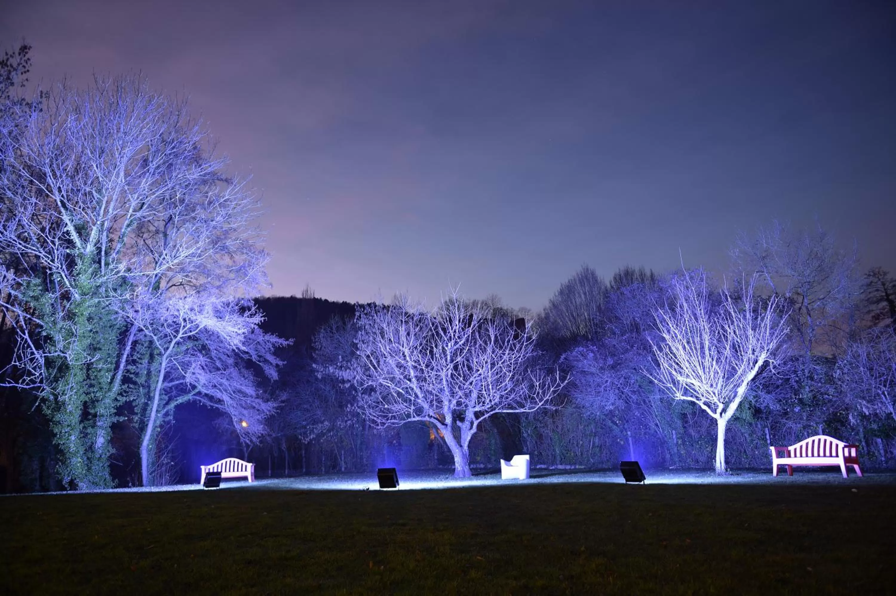 Garden in Hôtel Les Rives