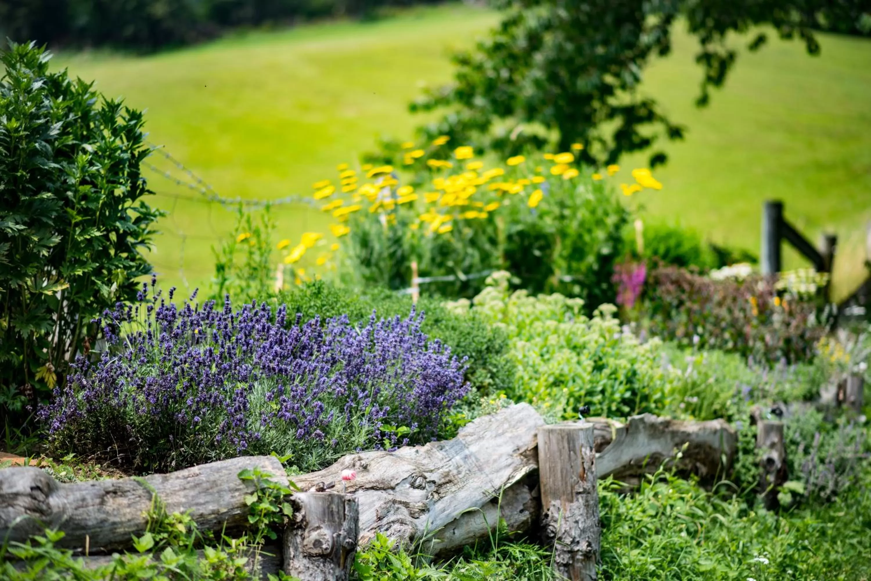 Garden in Tourist Farm Pr'Dovar
