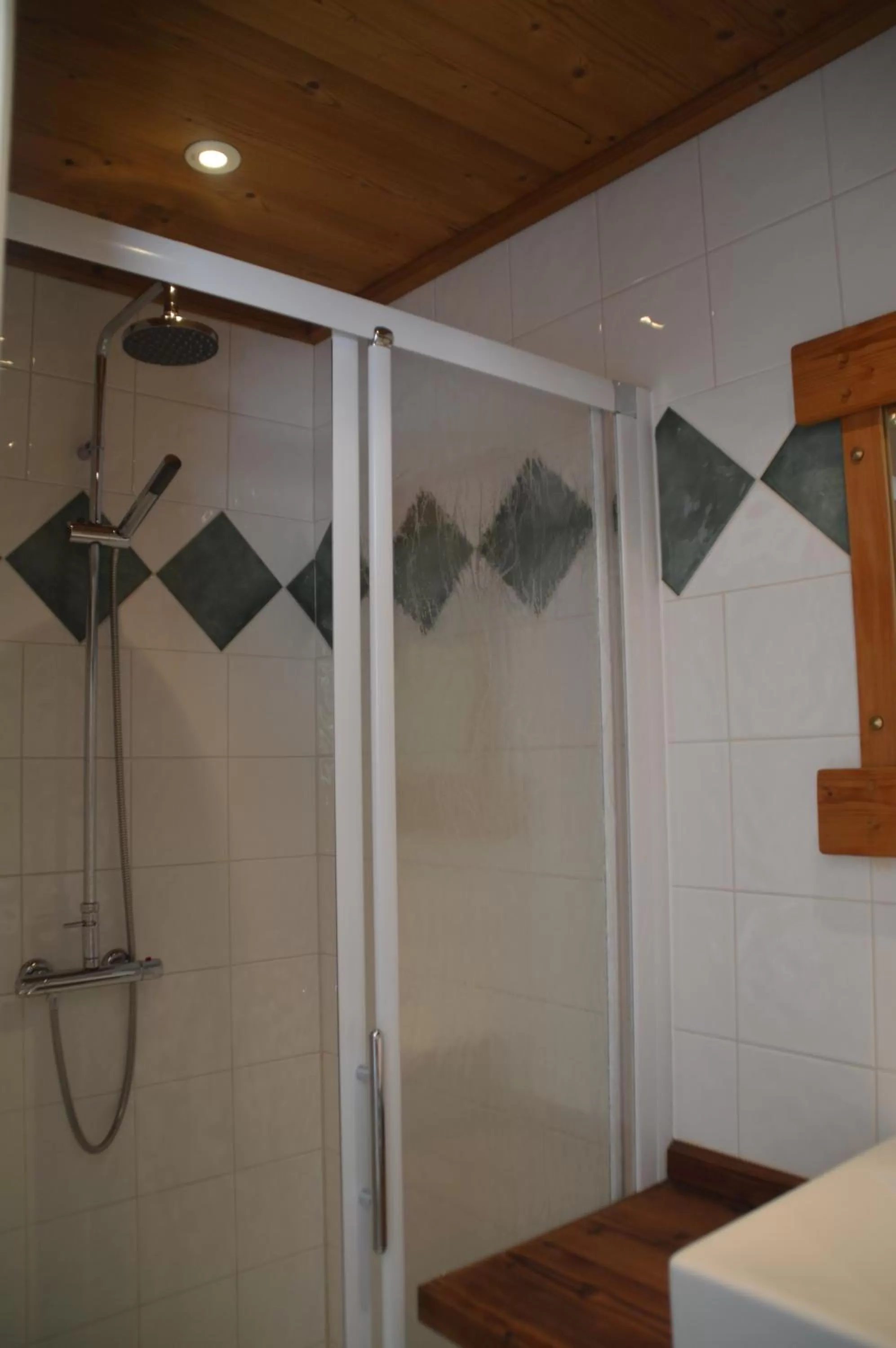 Bathroom in Hotel Le Genepy