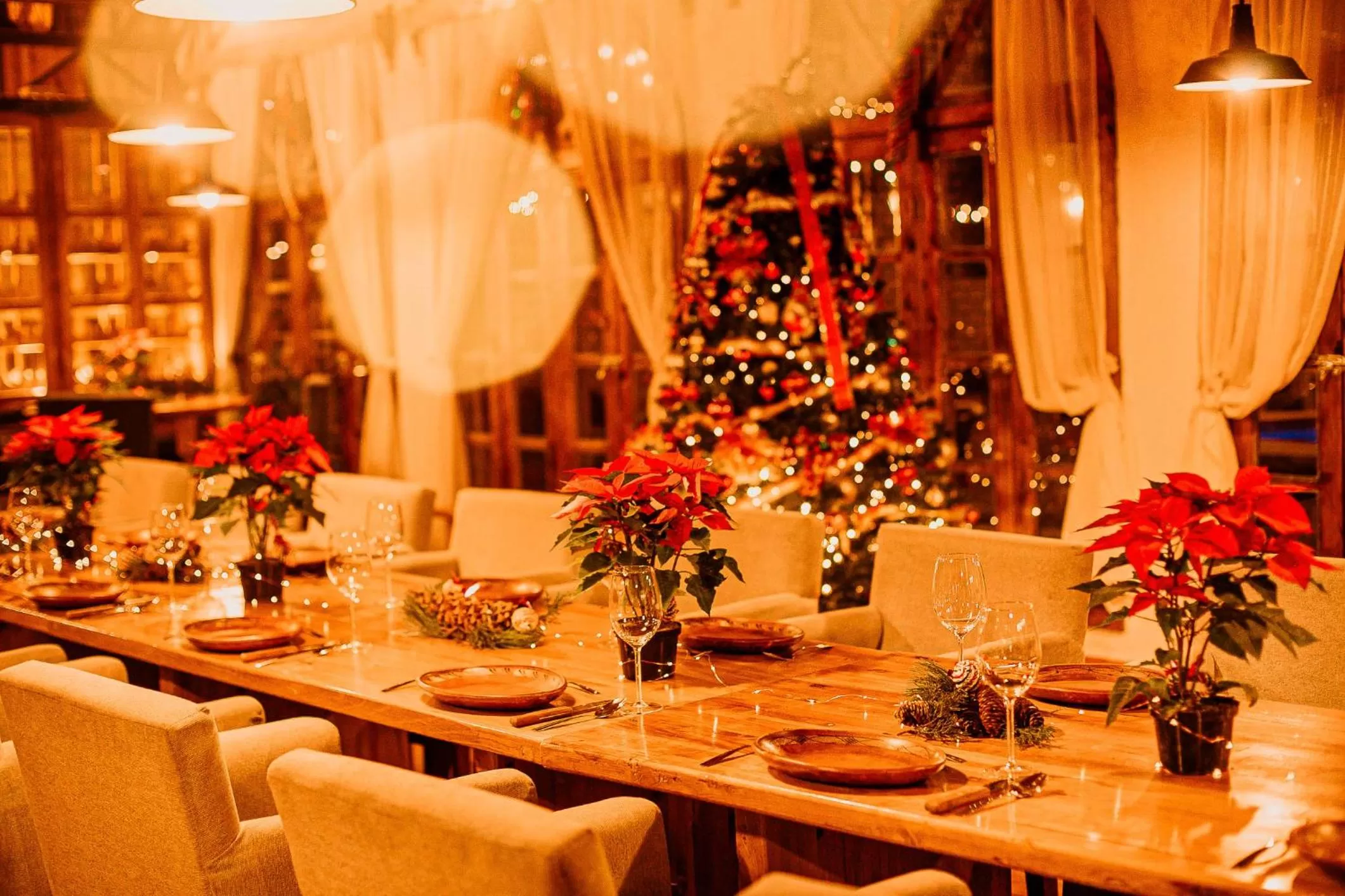 Restaurant/places to eat in Hacienda Don Armando Boutique & Spa