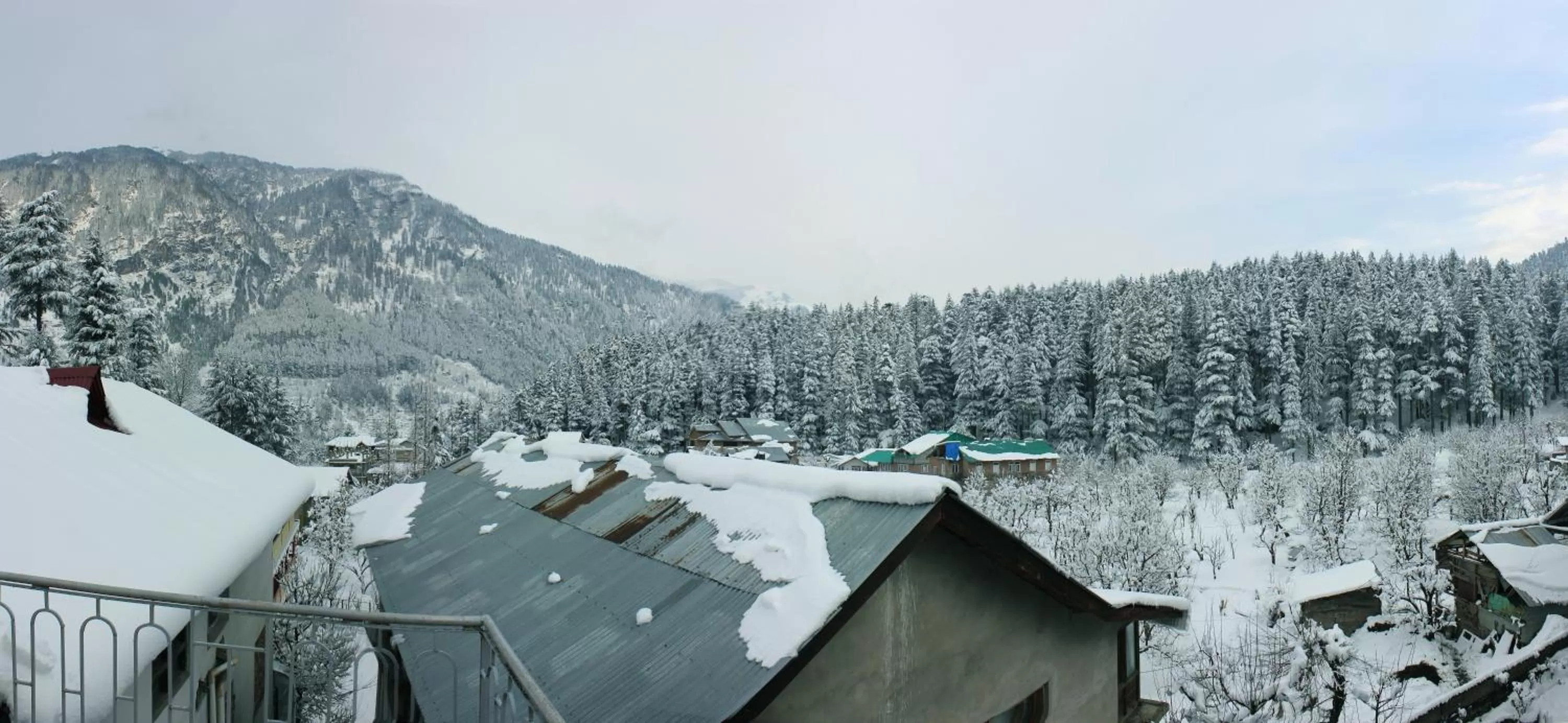 Winter in The Orchard Greens