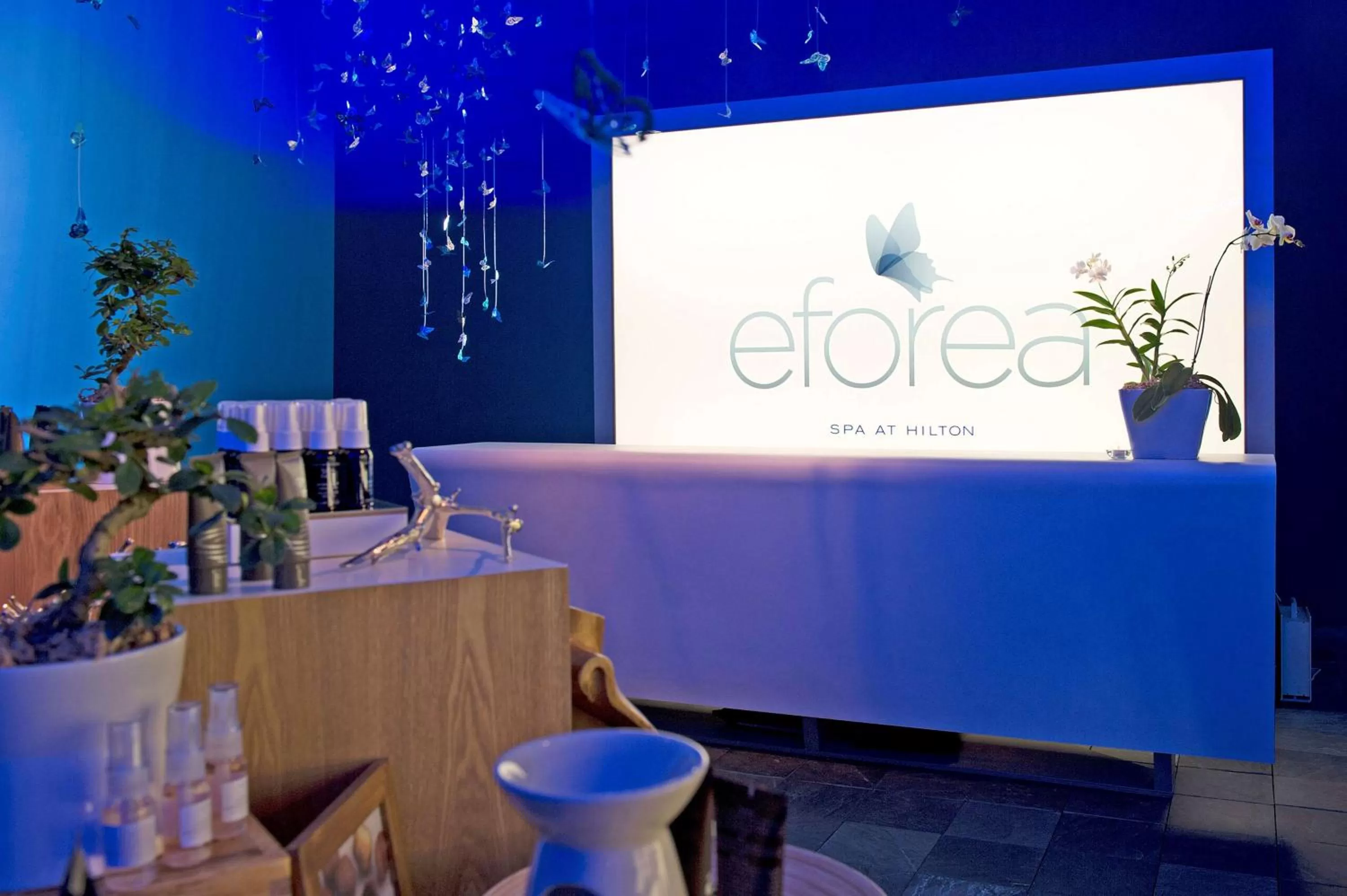 Sports in Hilton Grand Vacations Club on the Las Vegas Strip