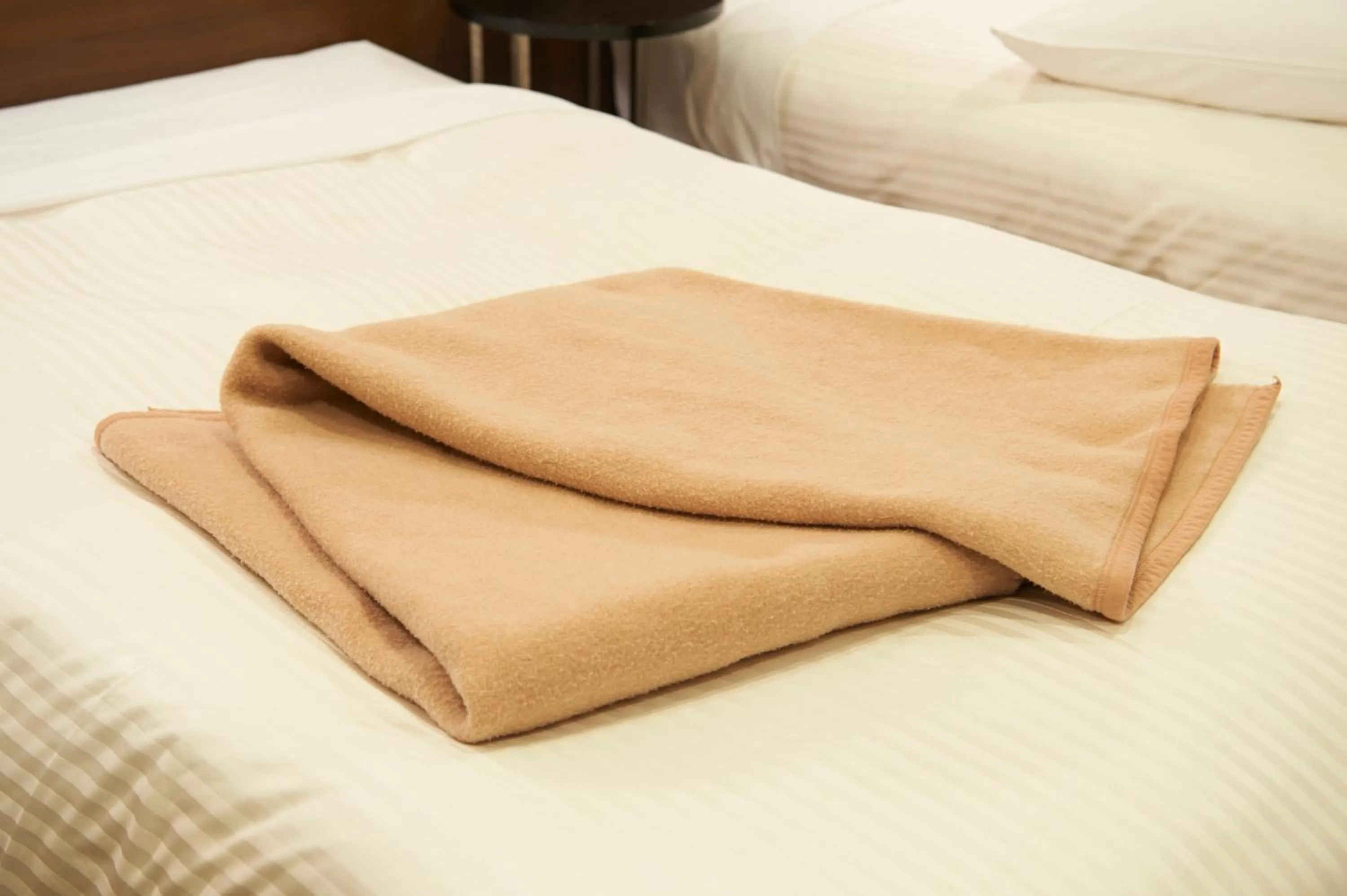 Area and facilities, Bed in Sotetsu Fresa Inn Daimon