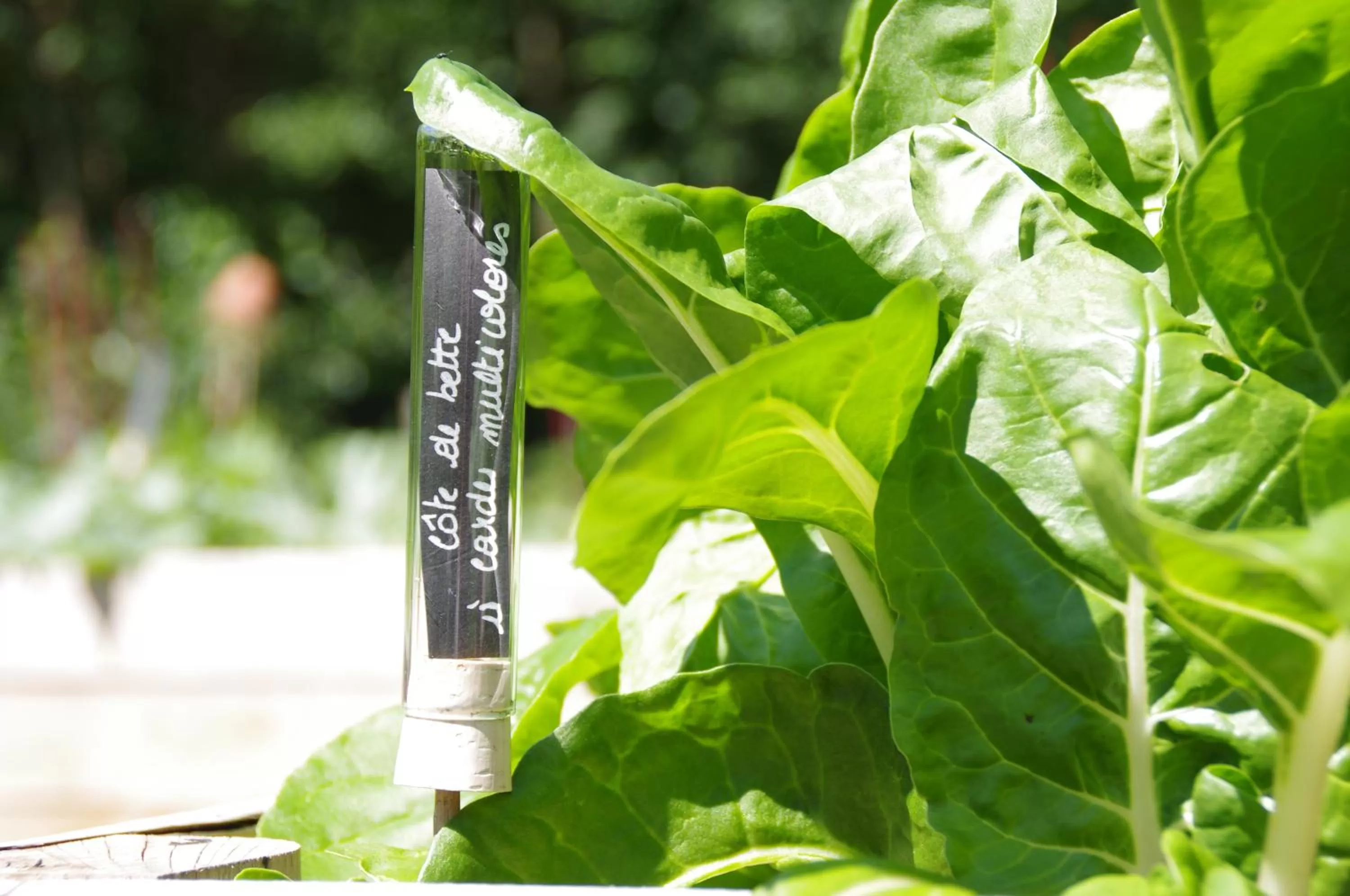 Garden in Hostellerie La Claire Fontaine, Logis hôtels & Spa