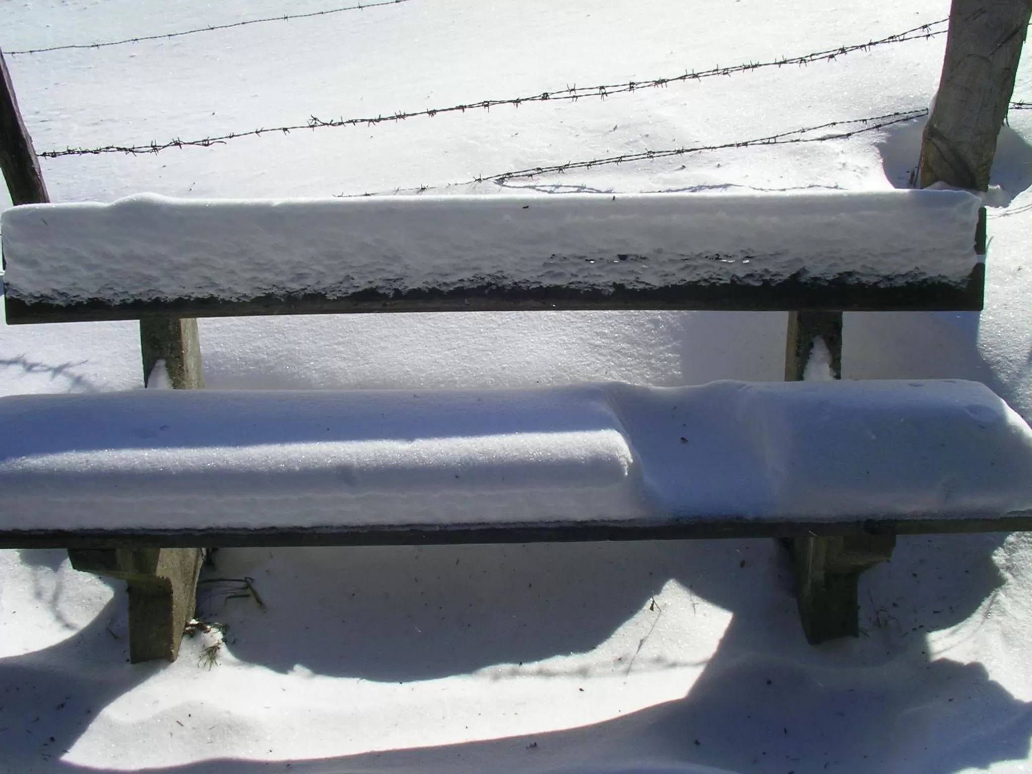 Garden in Das Allgäu