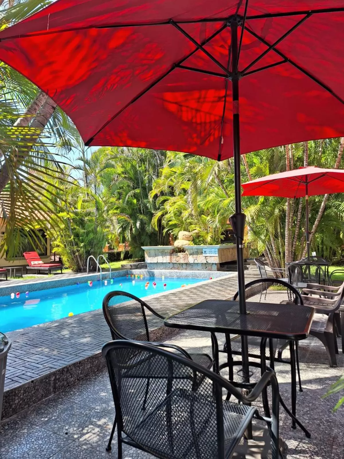 Spring in Hotel Palmareca