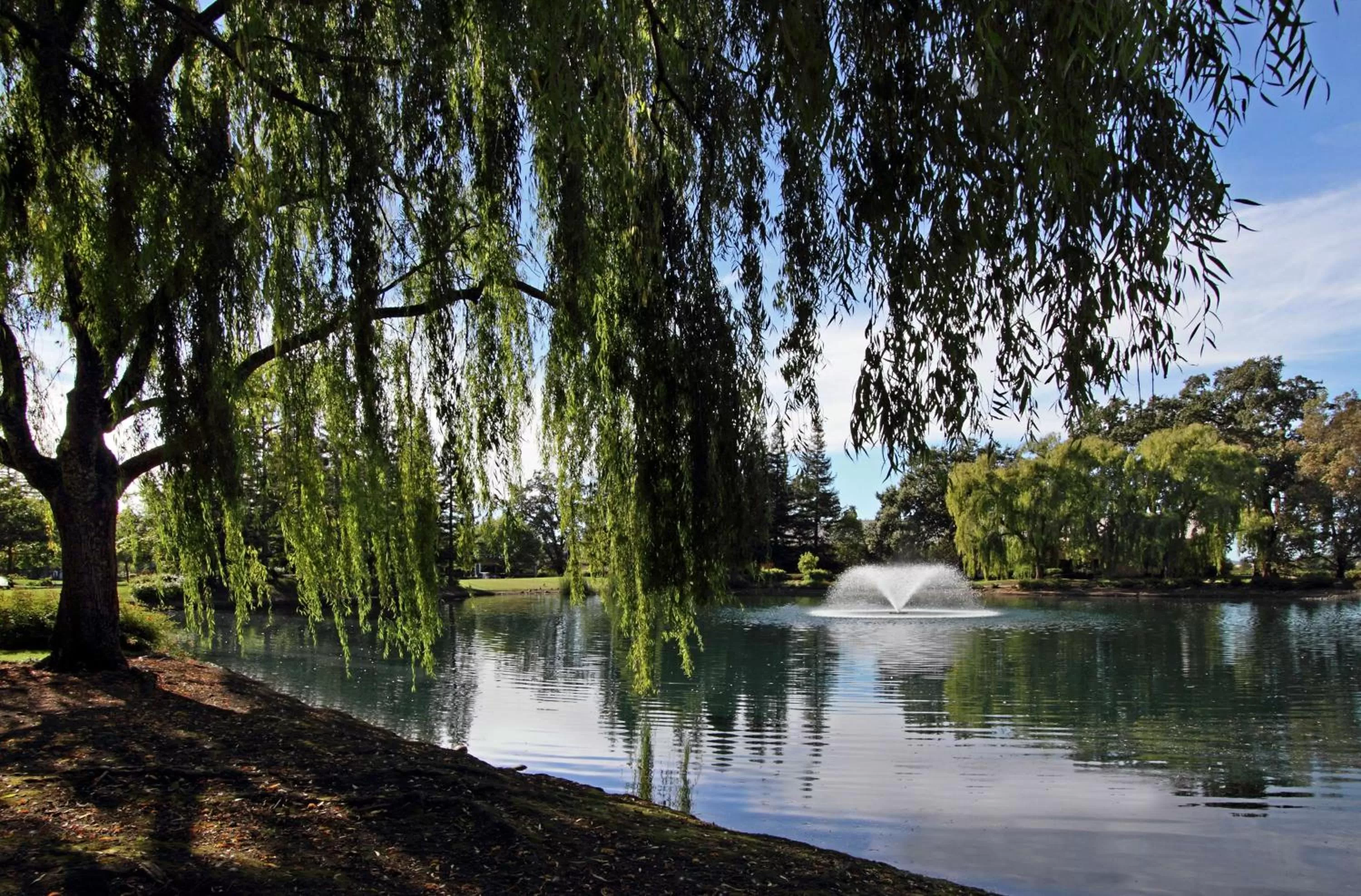 Sports in Hilton Garden Inn Sonoma County Airport